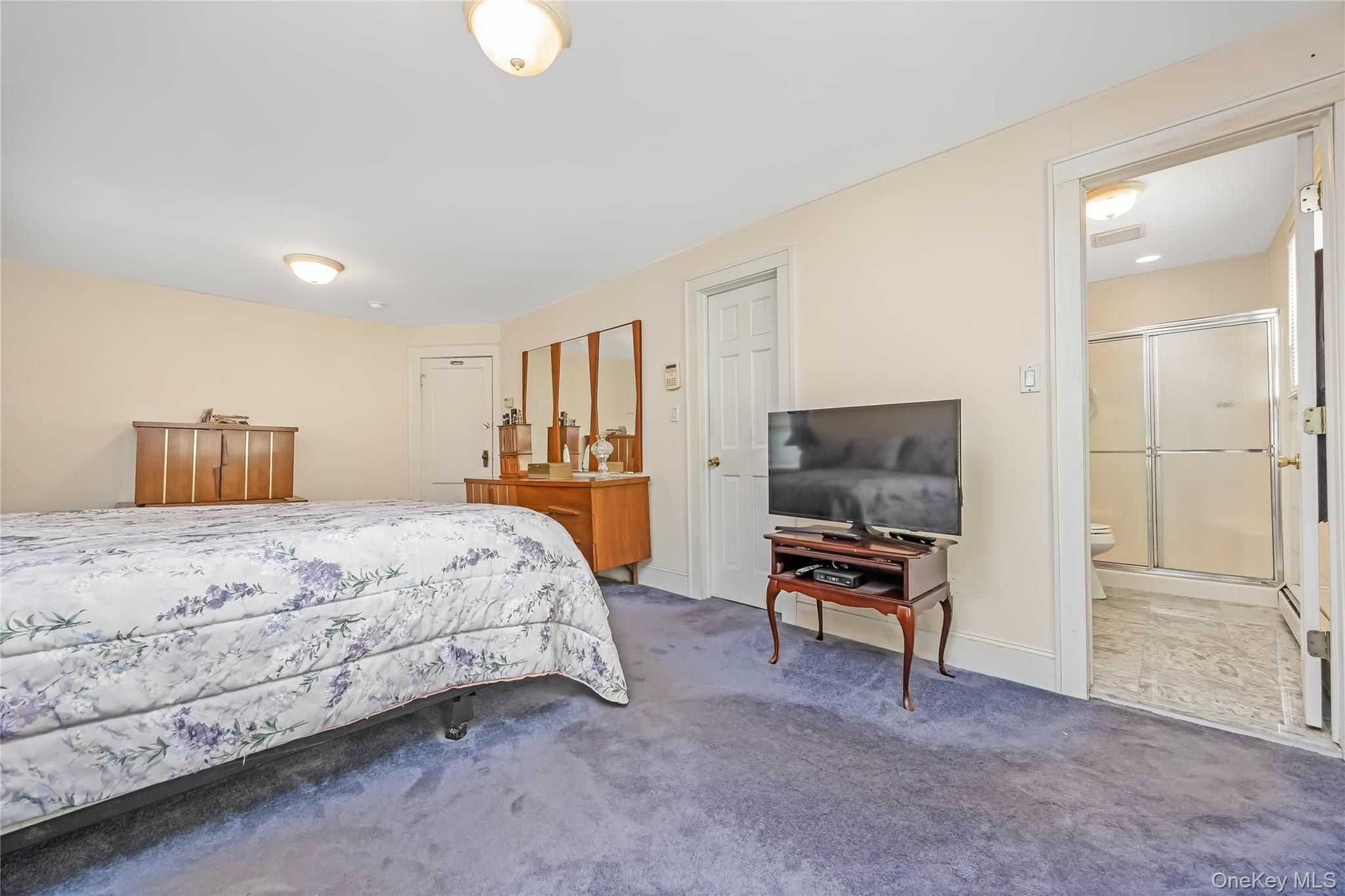 69 Vernon Avenue Property Photo 26