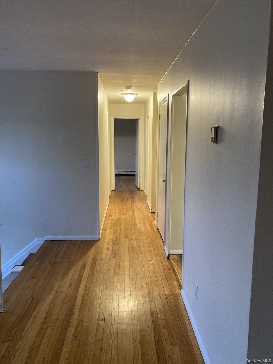 4 Chestnut Street Property Photo 4