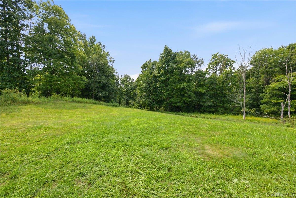 977 Mt Hope Road Property Photo 46