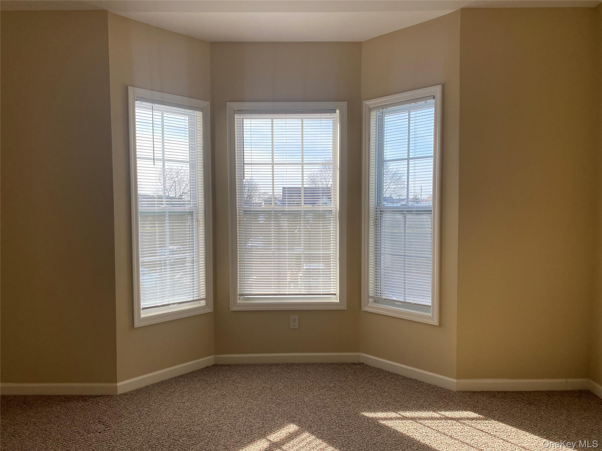 3 Nicole Property Photo 17