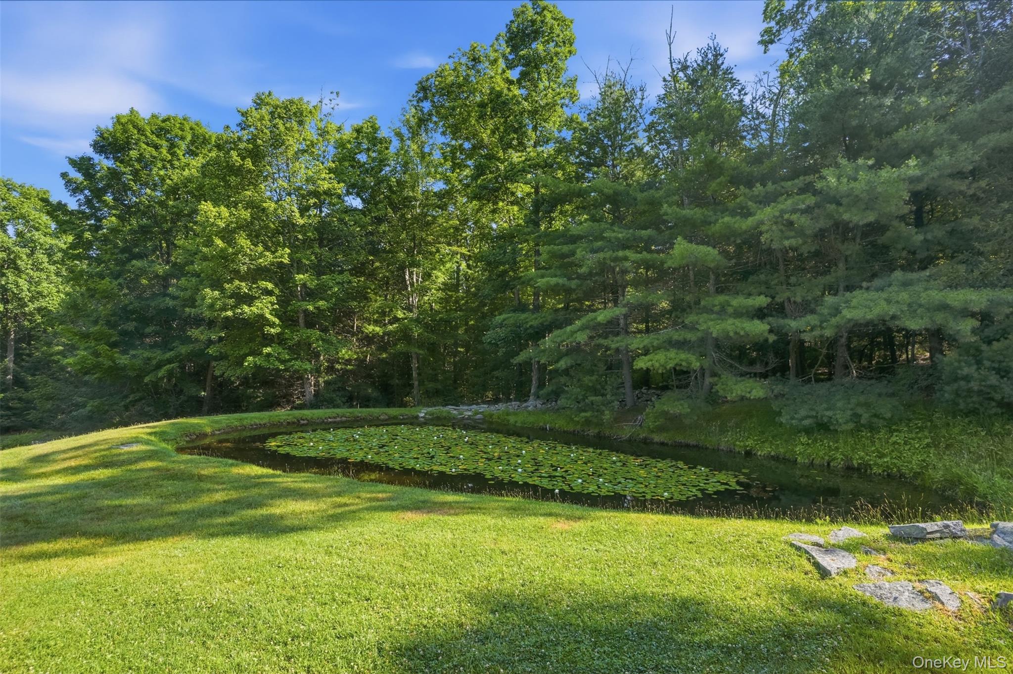 905 Pine Kill Road Property Photo 44