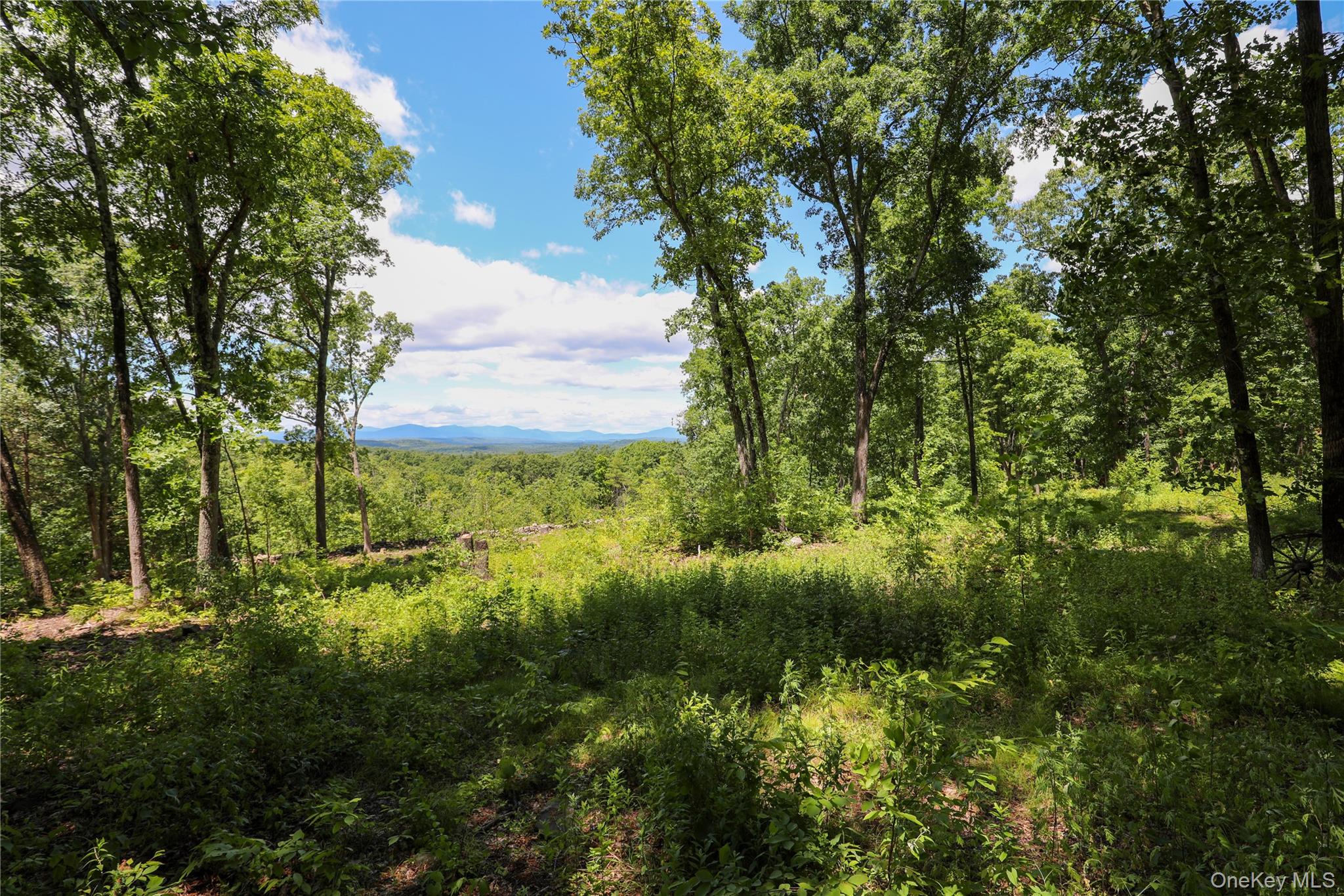 814 Cow Hough Road Property Photo 3