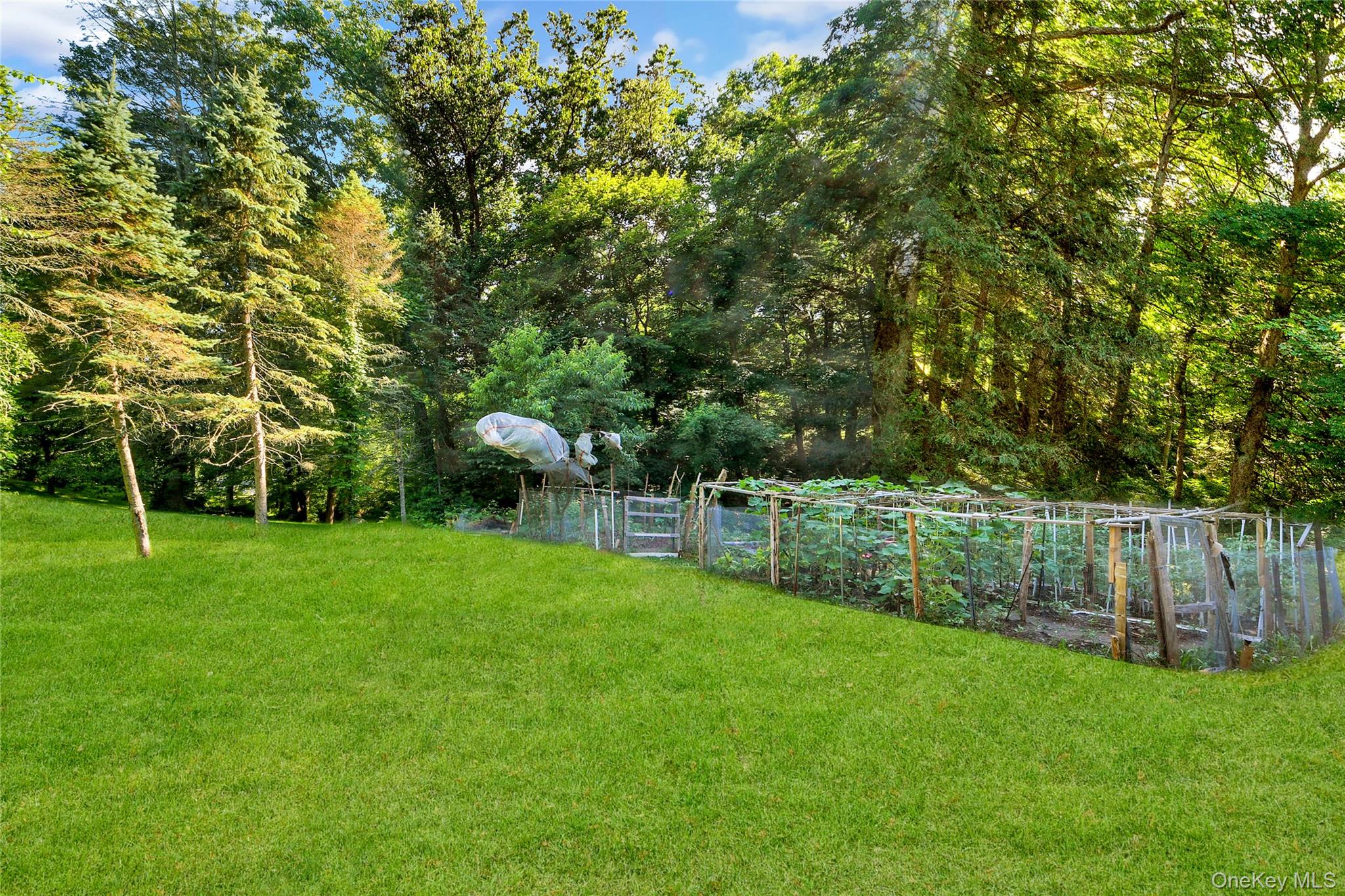 435 Birdsall Drive Property Photo 32