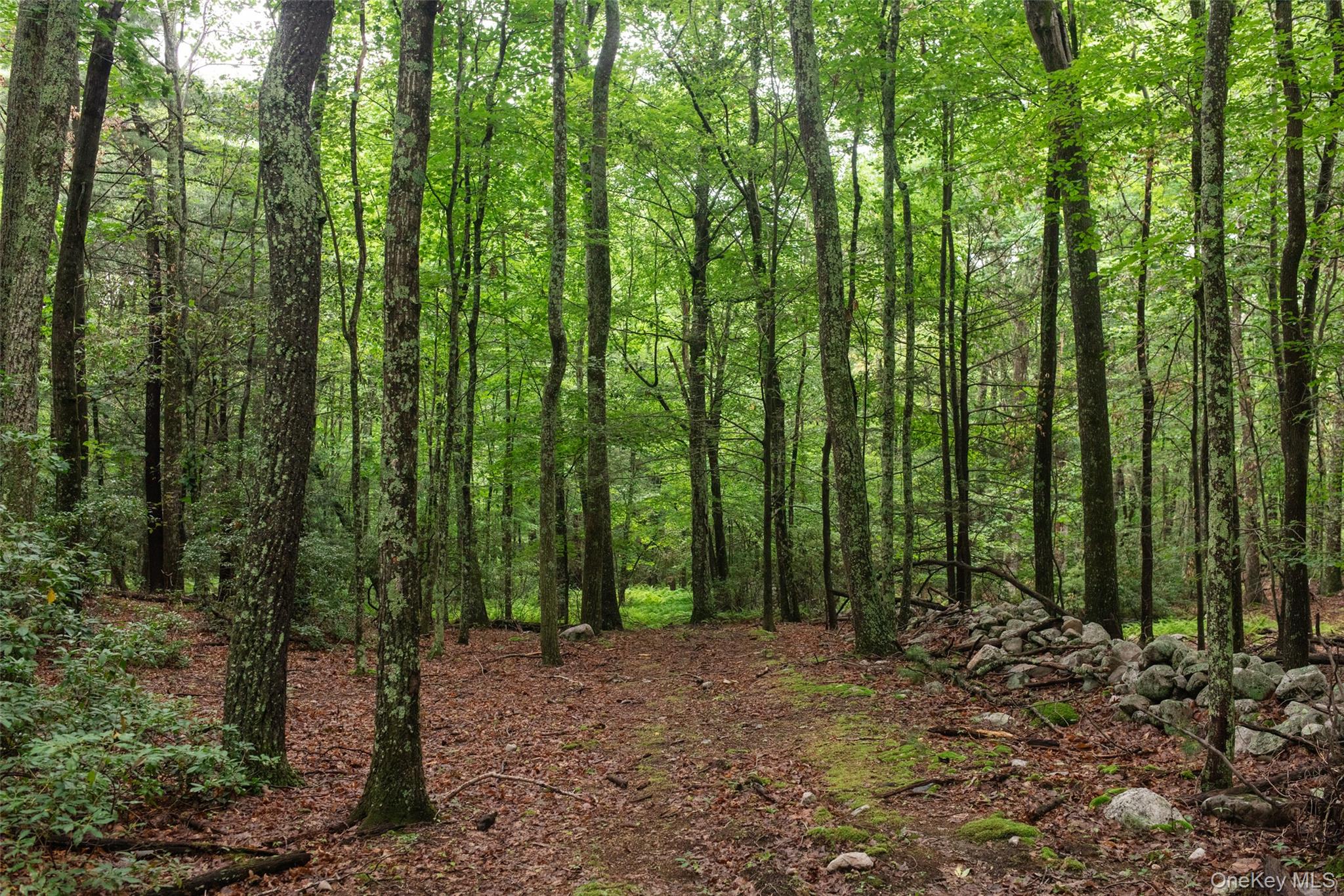 3789 State Route 52 Property Photo 1