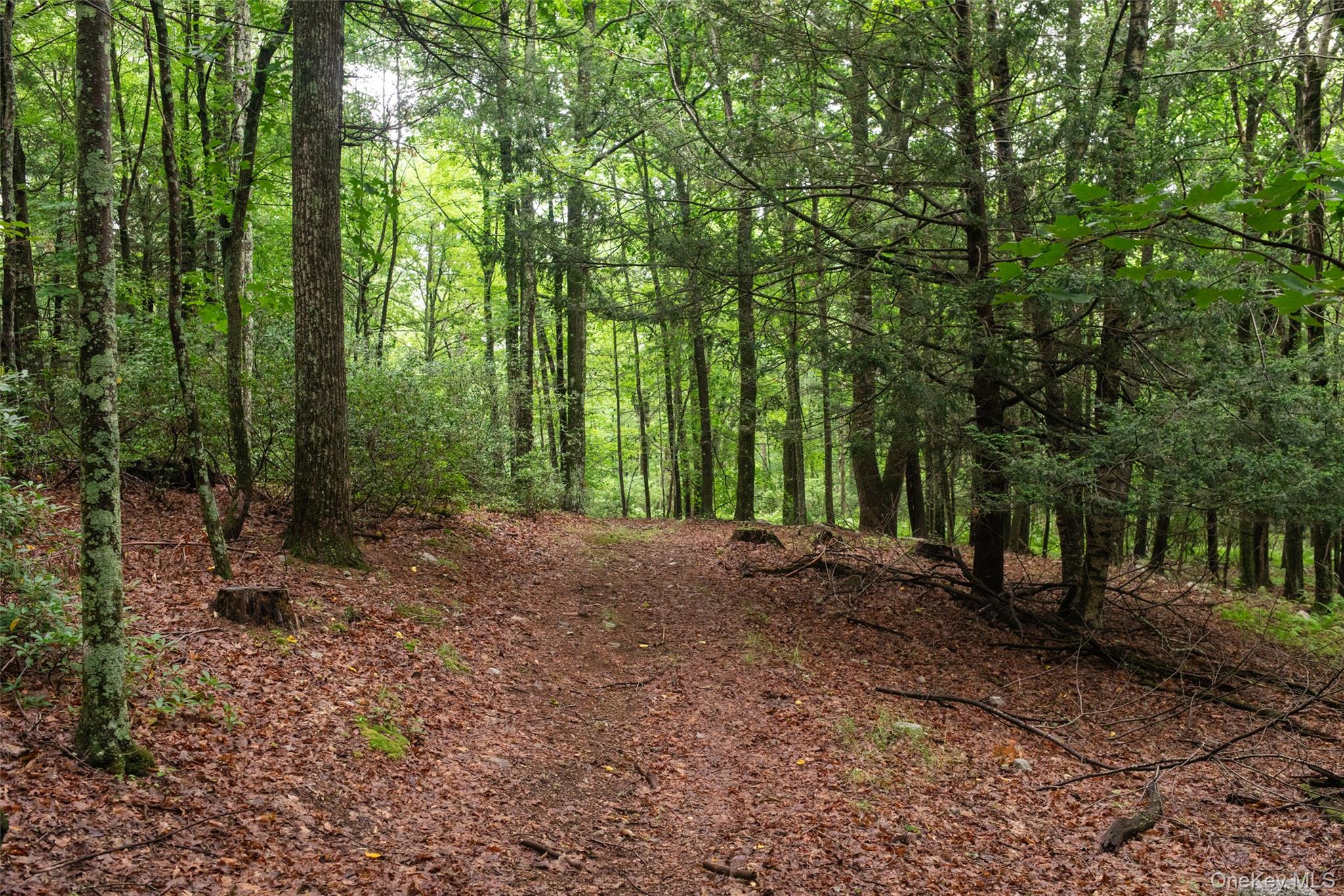 3789 State Route 52 Property Photo 2