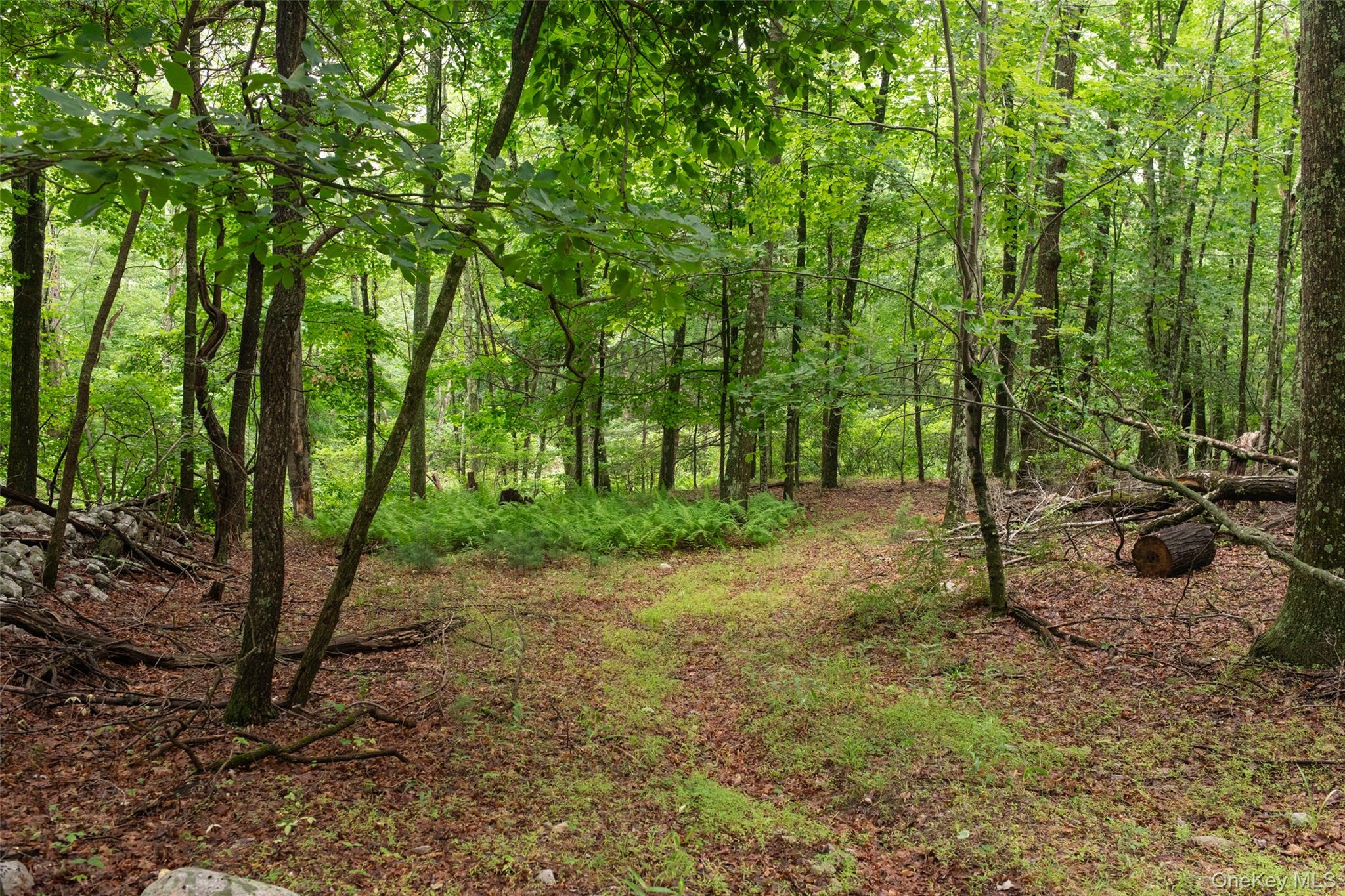 3789 State Route 52 Property Photo 3