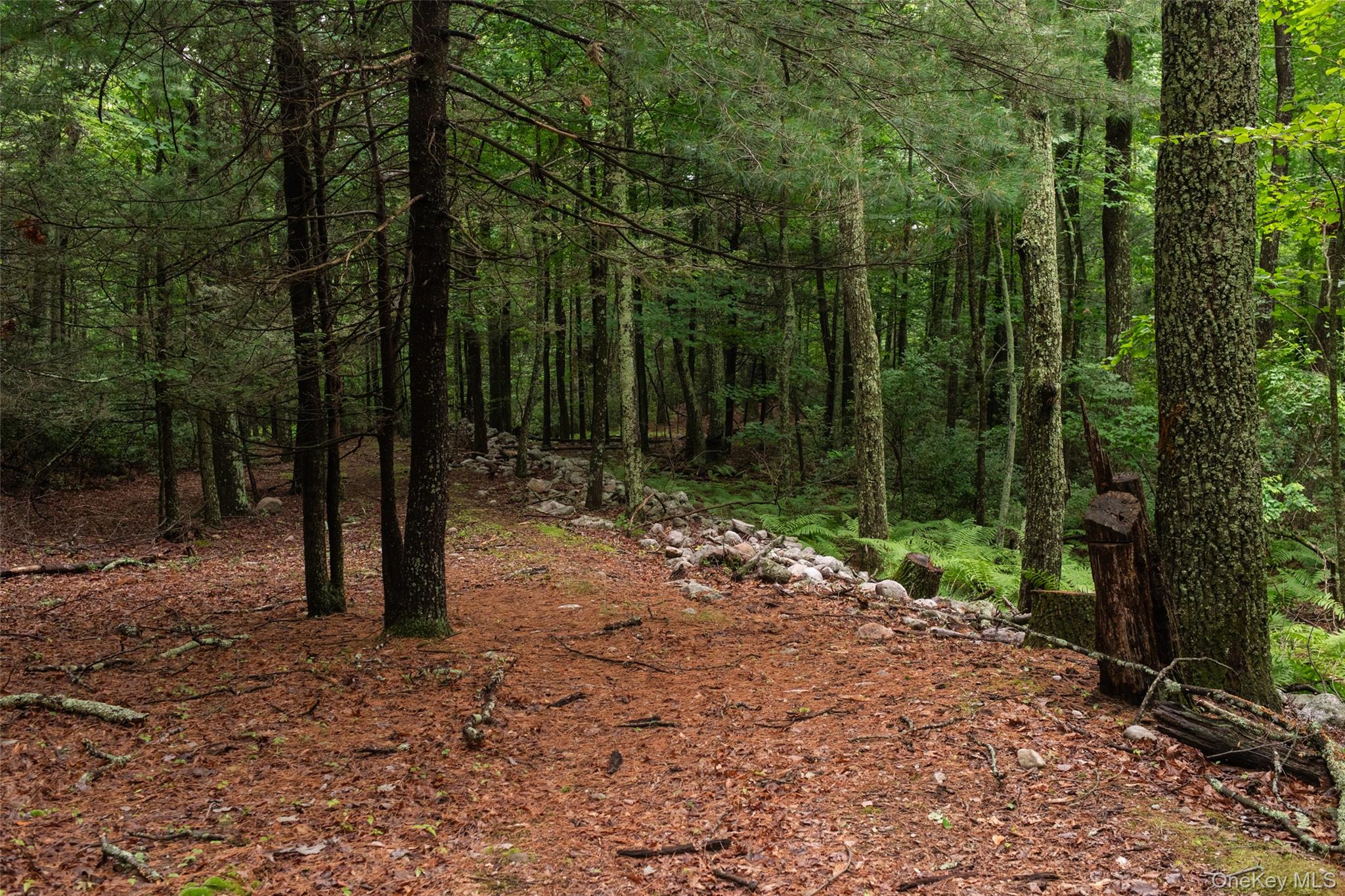 3789 State Route 52 Property Photo 7