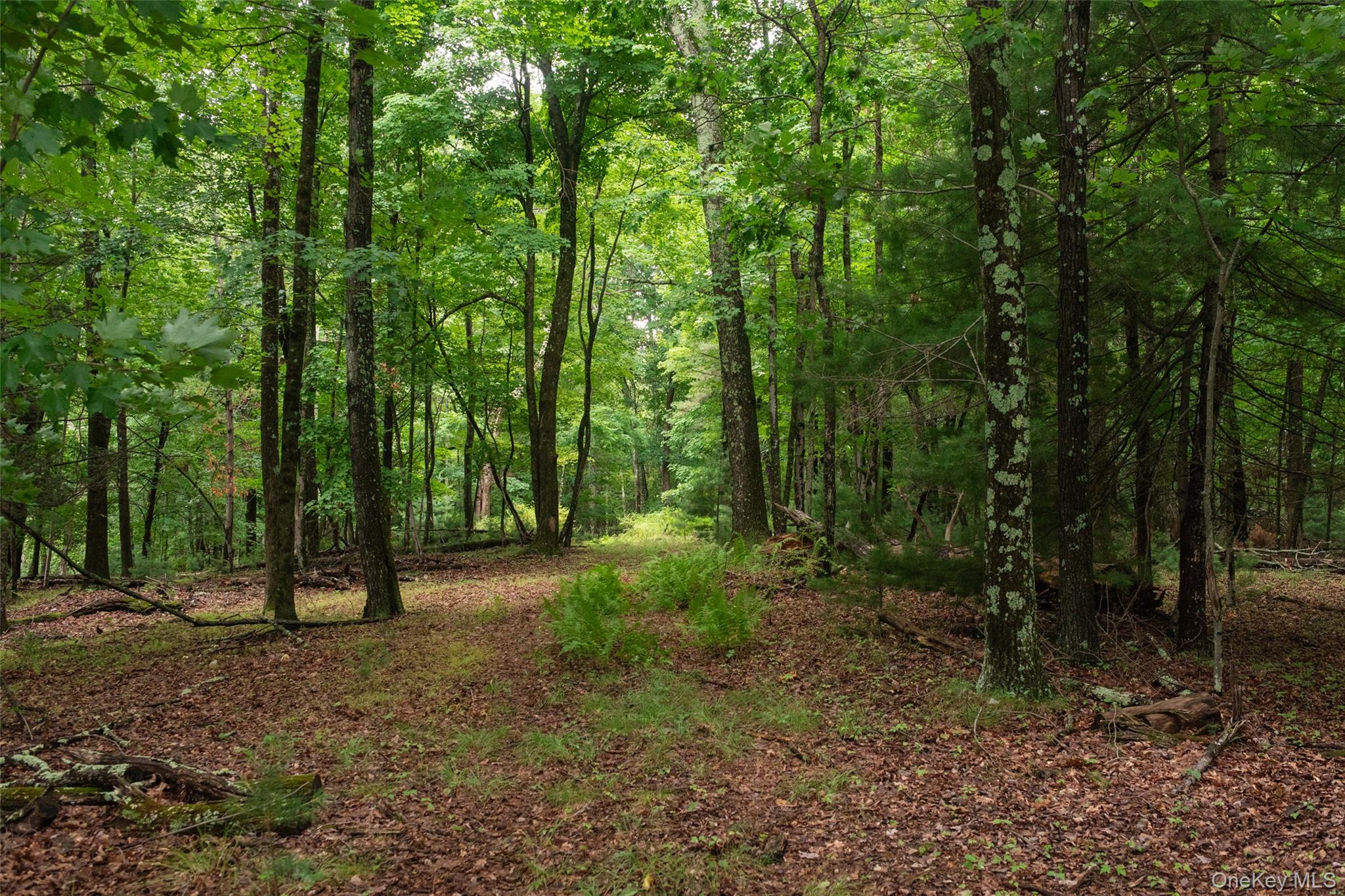 3789 State Route 52 Property Photo 8