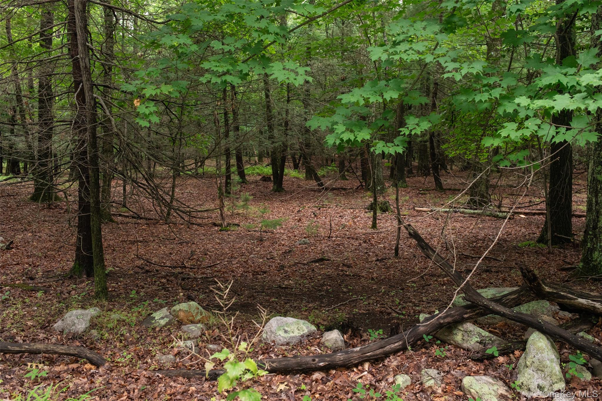 3789 State Route 52 Property Photo 9