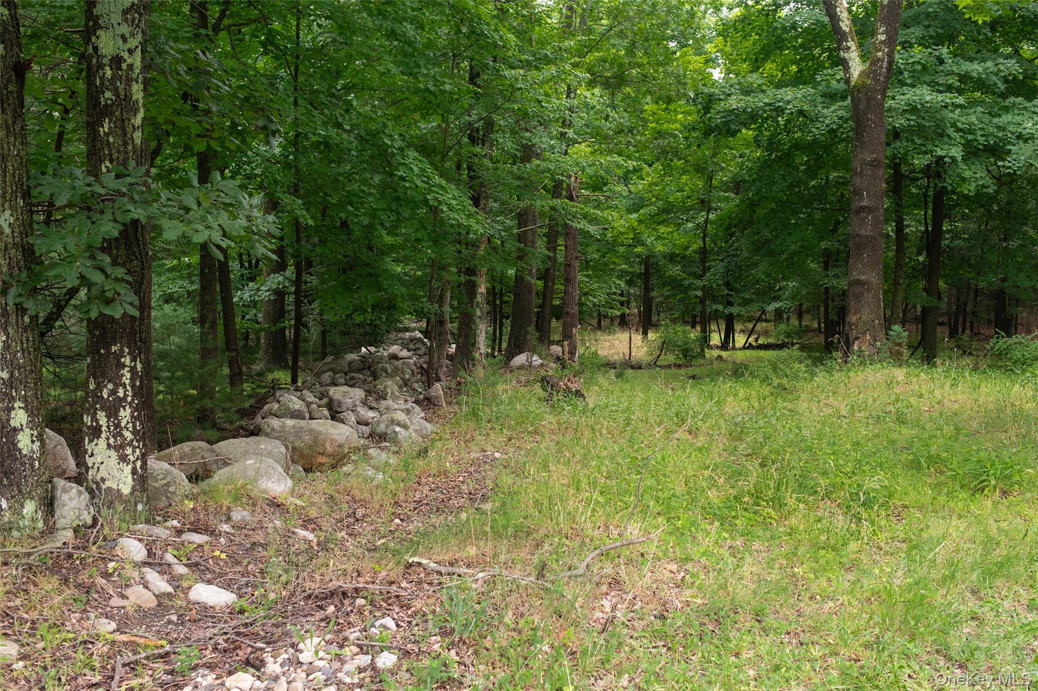 3789 State Route 52 Property Photo 10