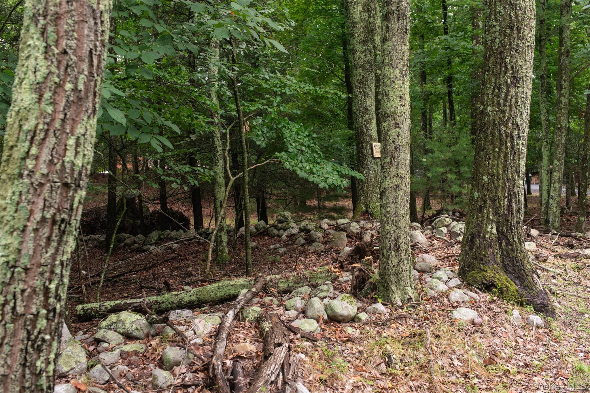 3789 State Route 52 Property Photo 11