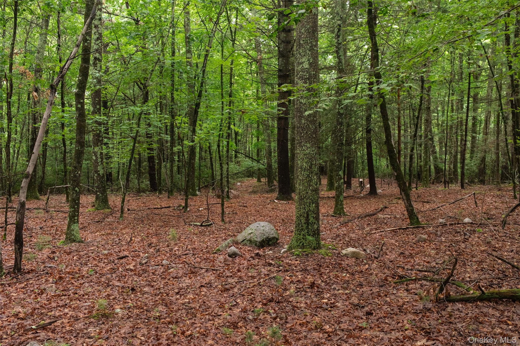 3789 State Route 52 Property Photo 12