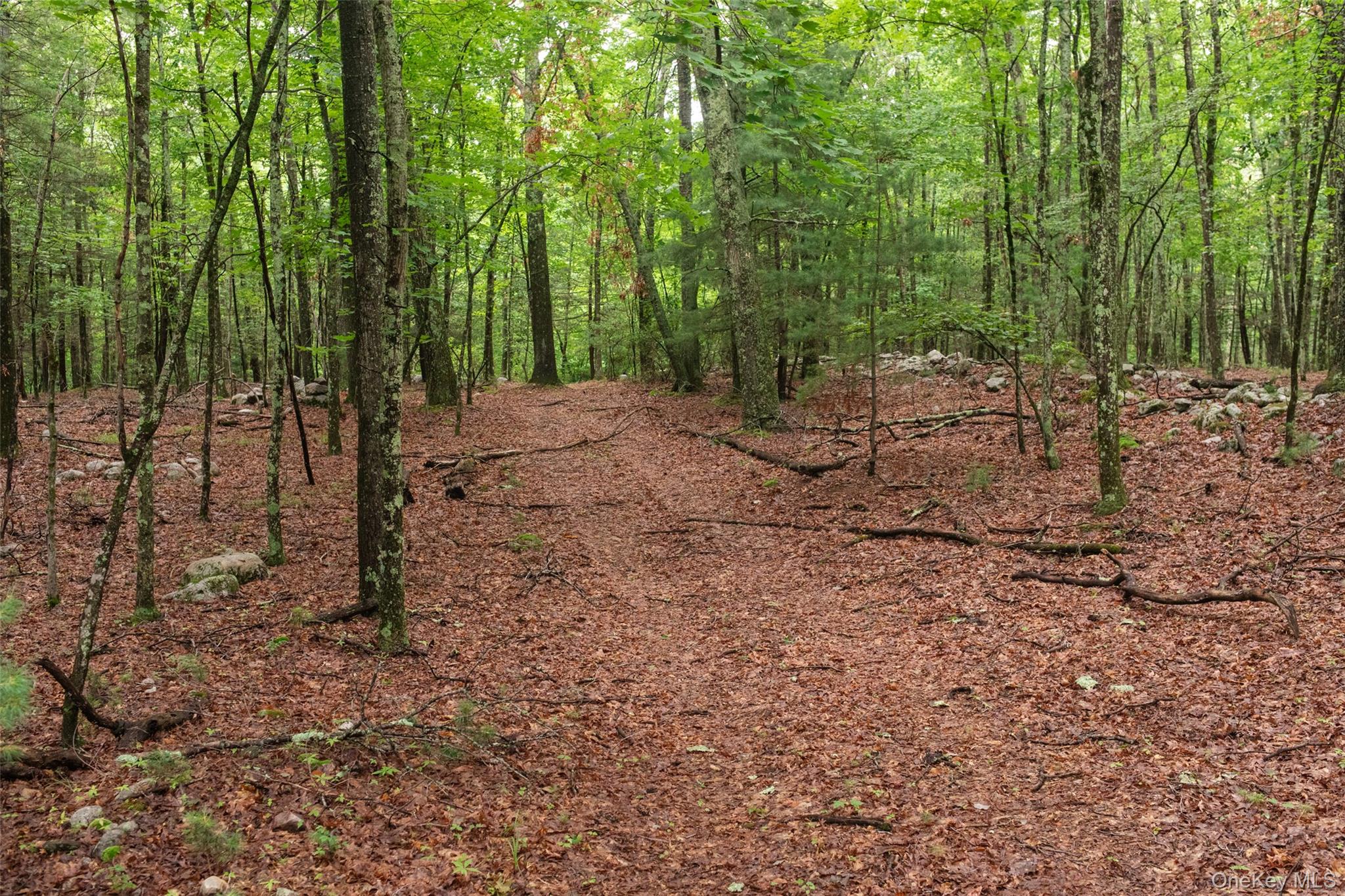 3789 State Route 52 Property Photo 13