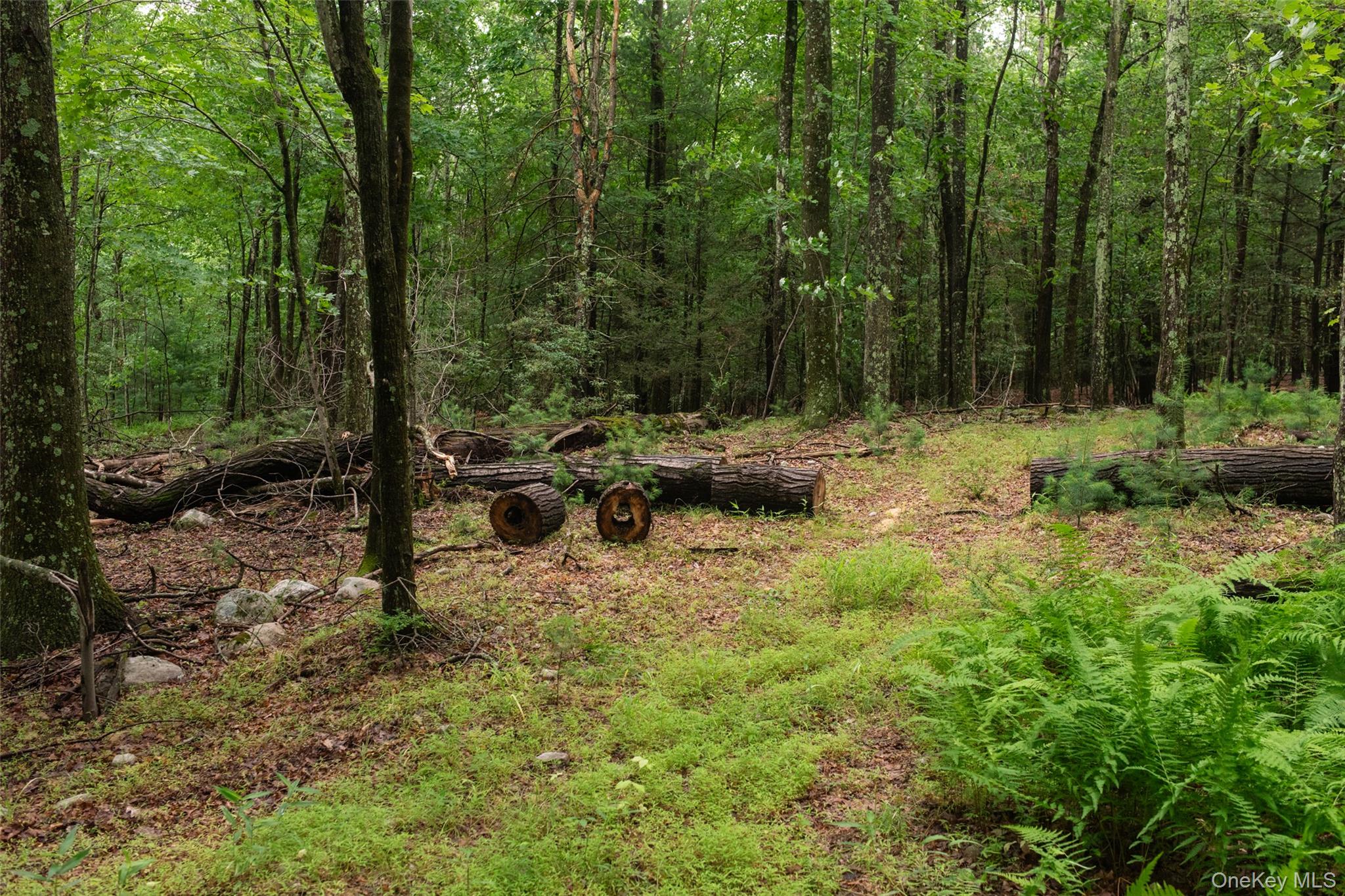 3789 State Route 52 Property Photo 14