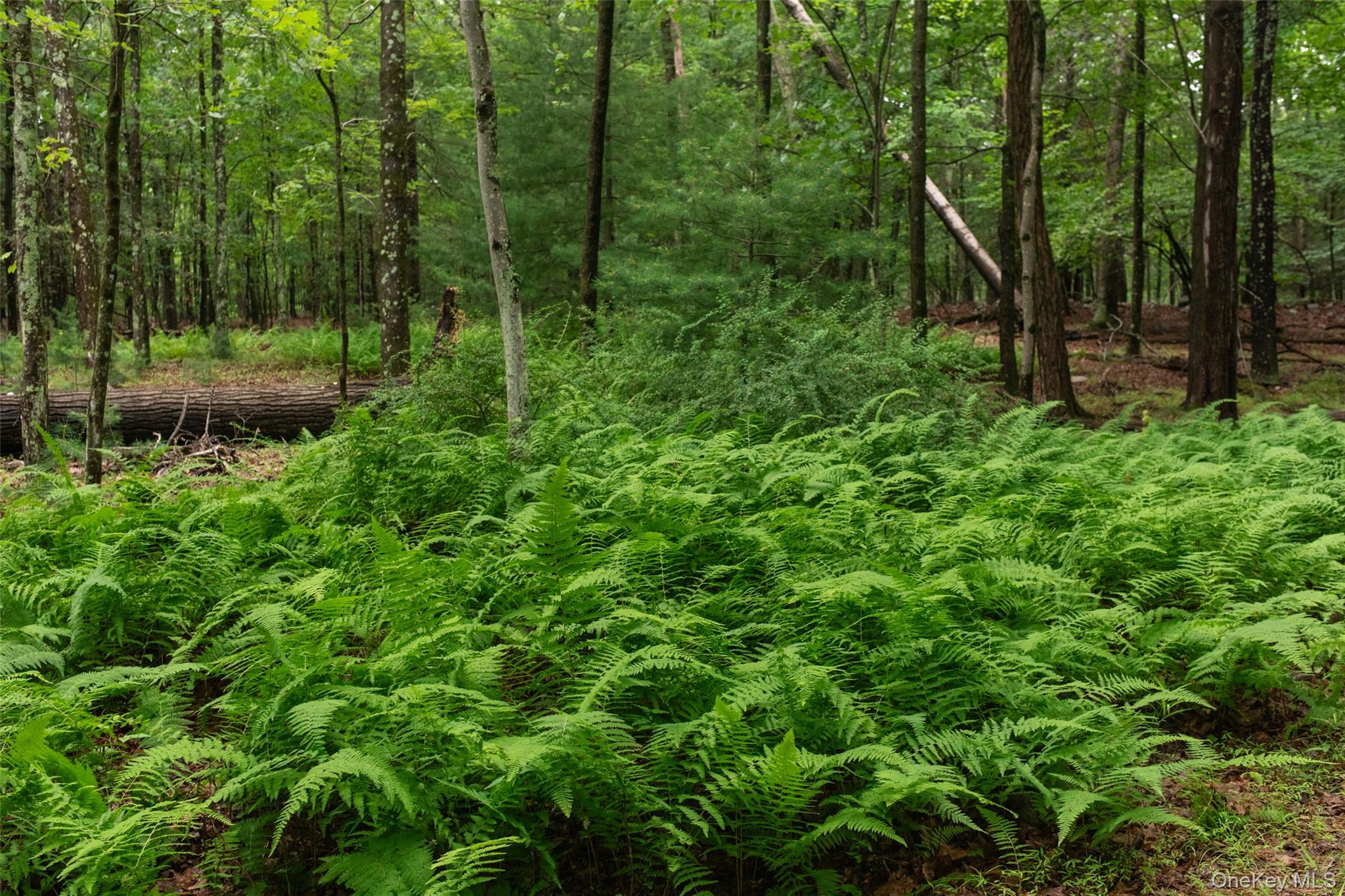 3789 State Route 52 Property Photo 15