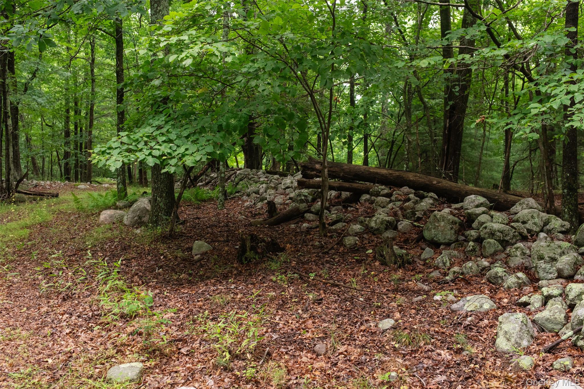 3789 State Route 52 Property Photo 16