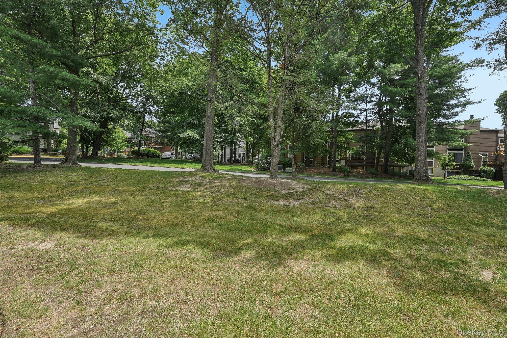 42 Tulip Court Property Photo 47