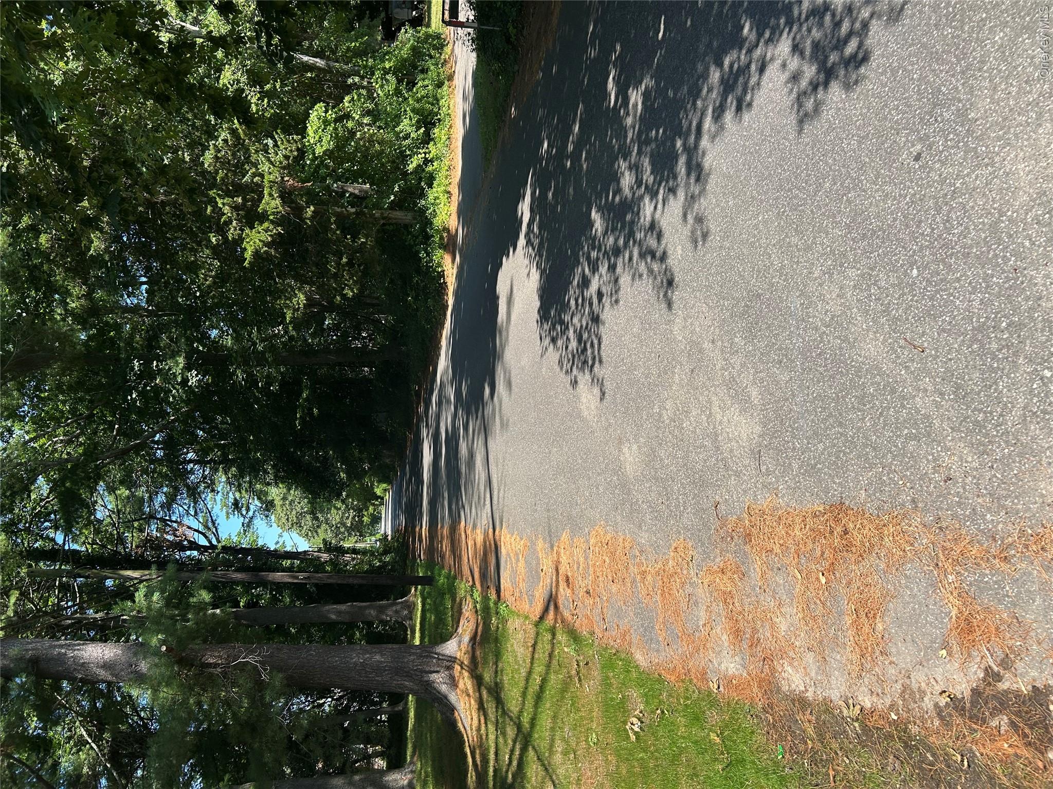 66 Magnolia Drive Property Photo 13