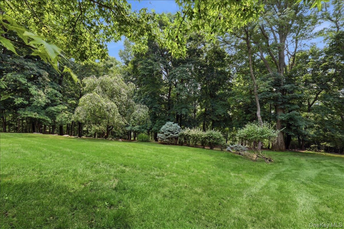 131 Deertrack Lane Property Photo 23