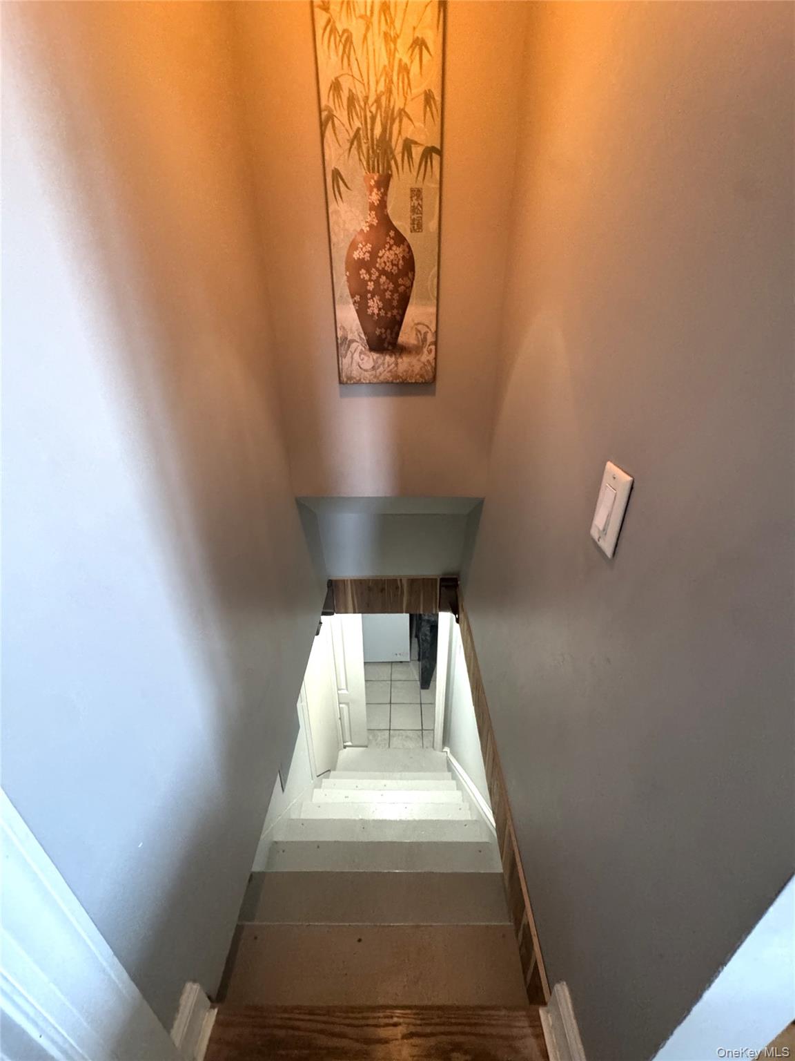 238 Laclede Avenue Property Photo 8