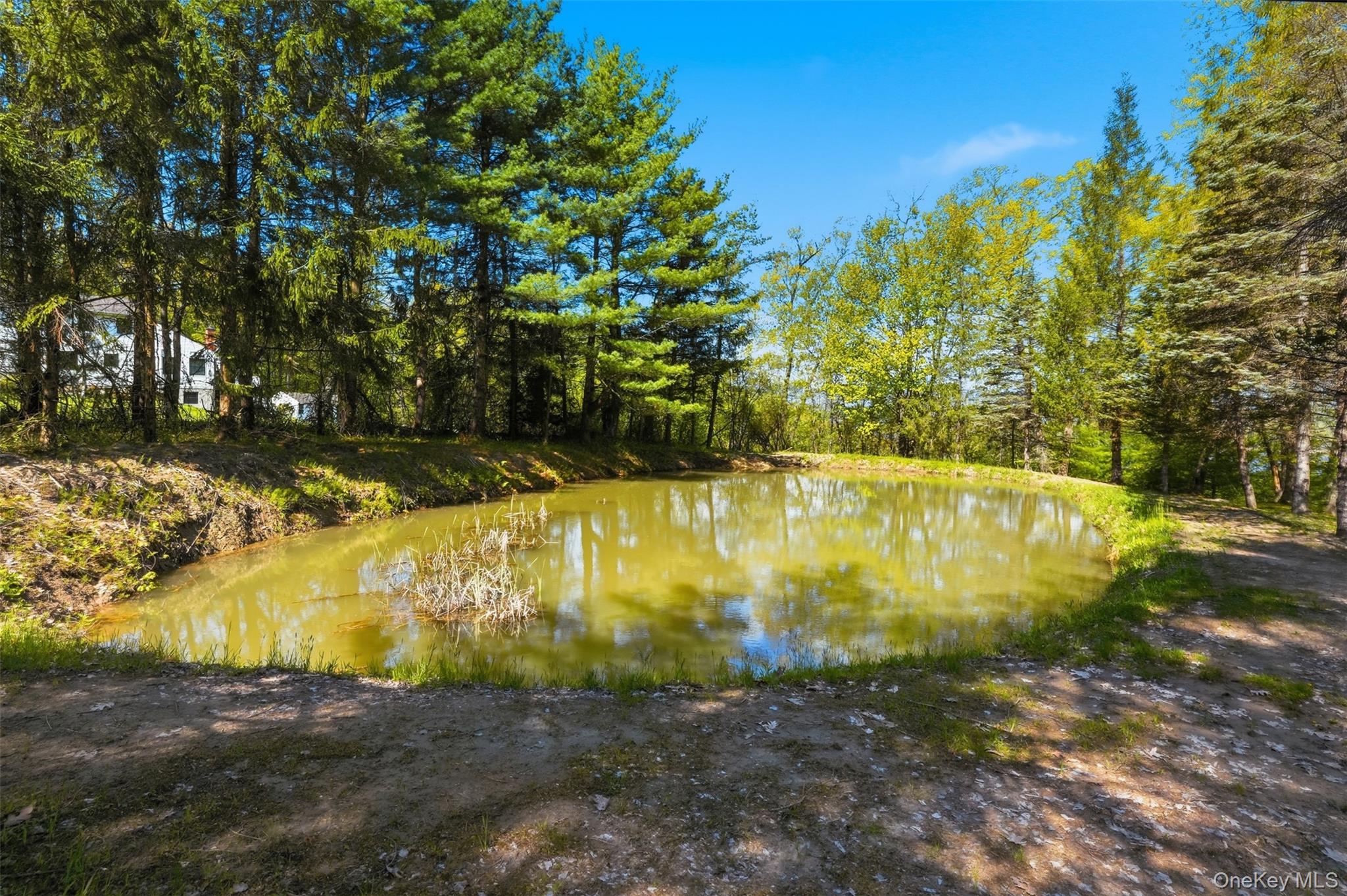 32 Sunset Circle Property Photo 40