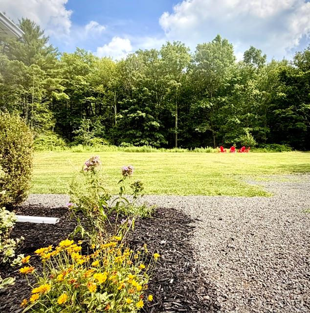 40 Highland Avenue Property Photo 23