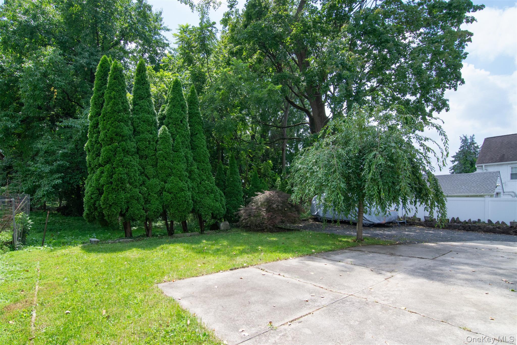 23 Webster Avenue Property Photo 19