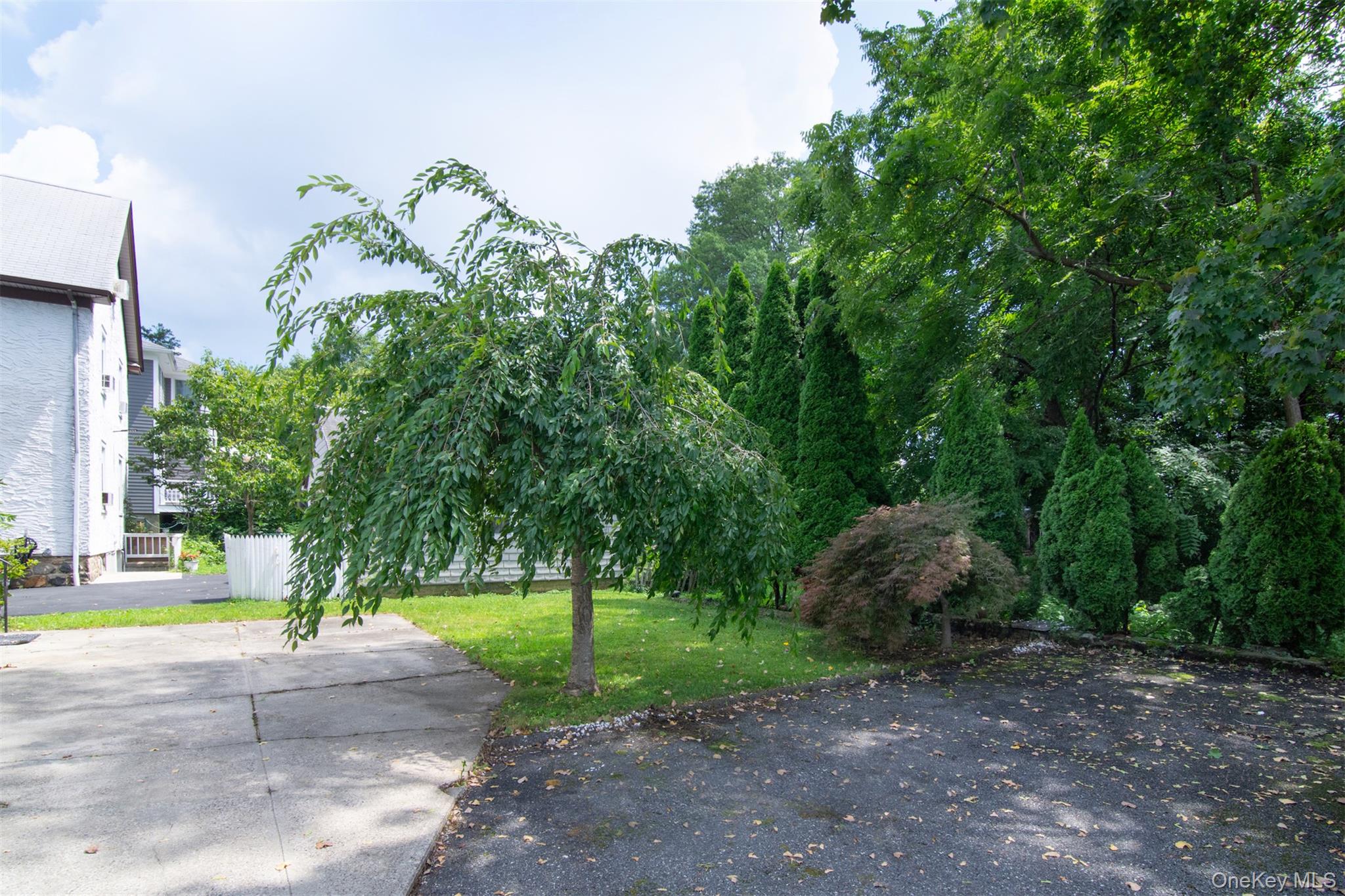 23 Webster Avenue Property Photo 20