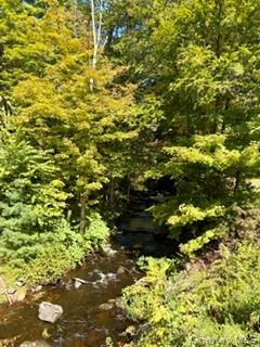 806 Peenpack Trail Property Photo 46