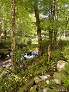 806 Peenpack Trail Property Photo 47