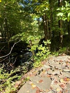 806 Peenpack Trail Property Photo 48
