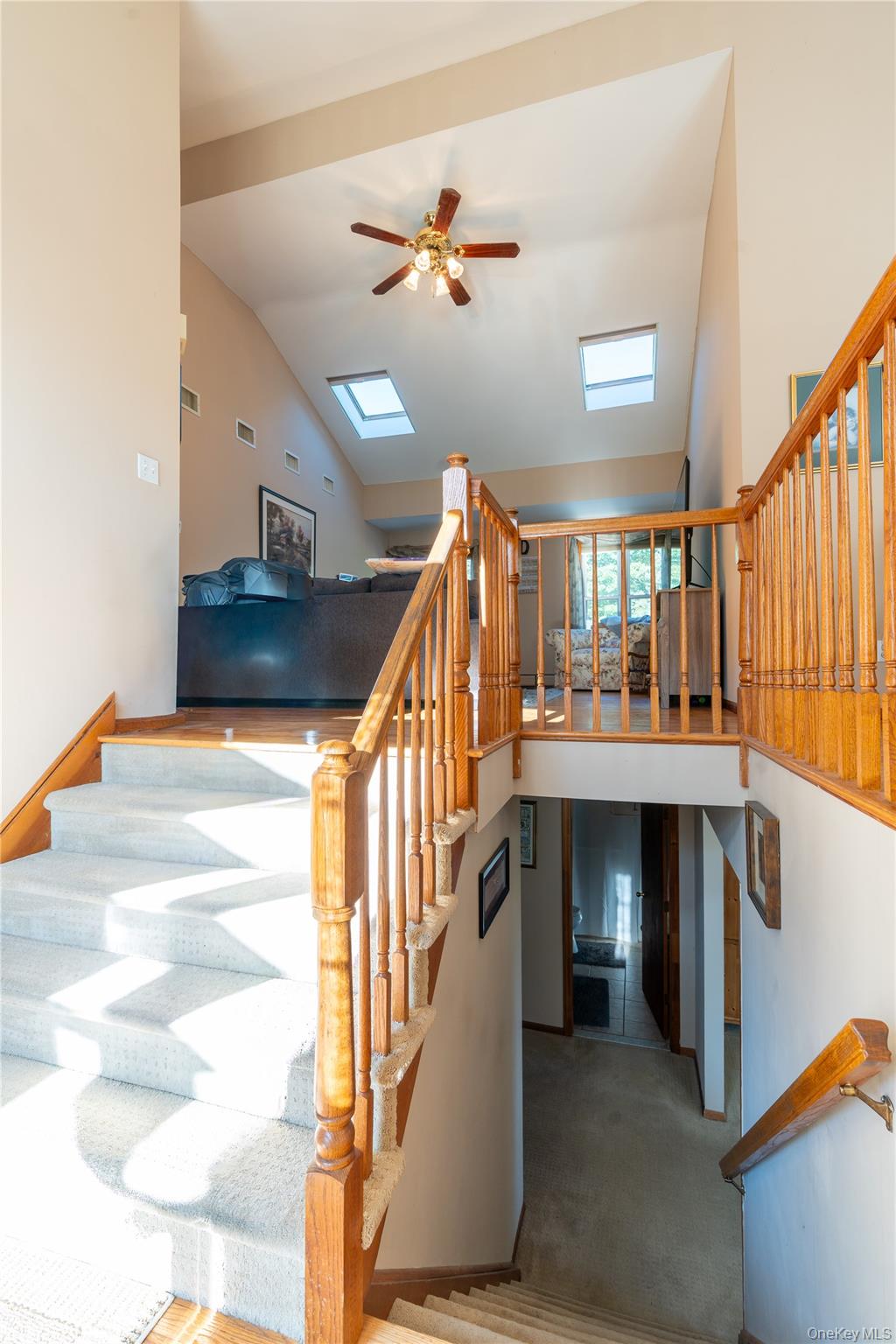 3 Aron Court Property Photo 18