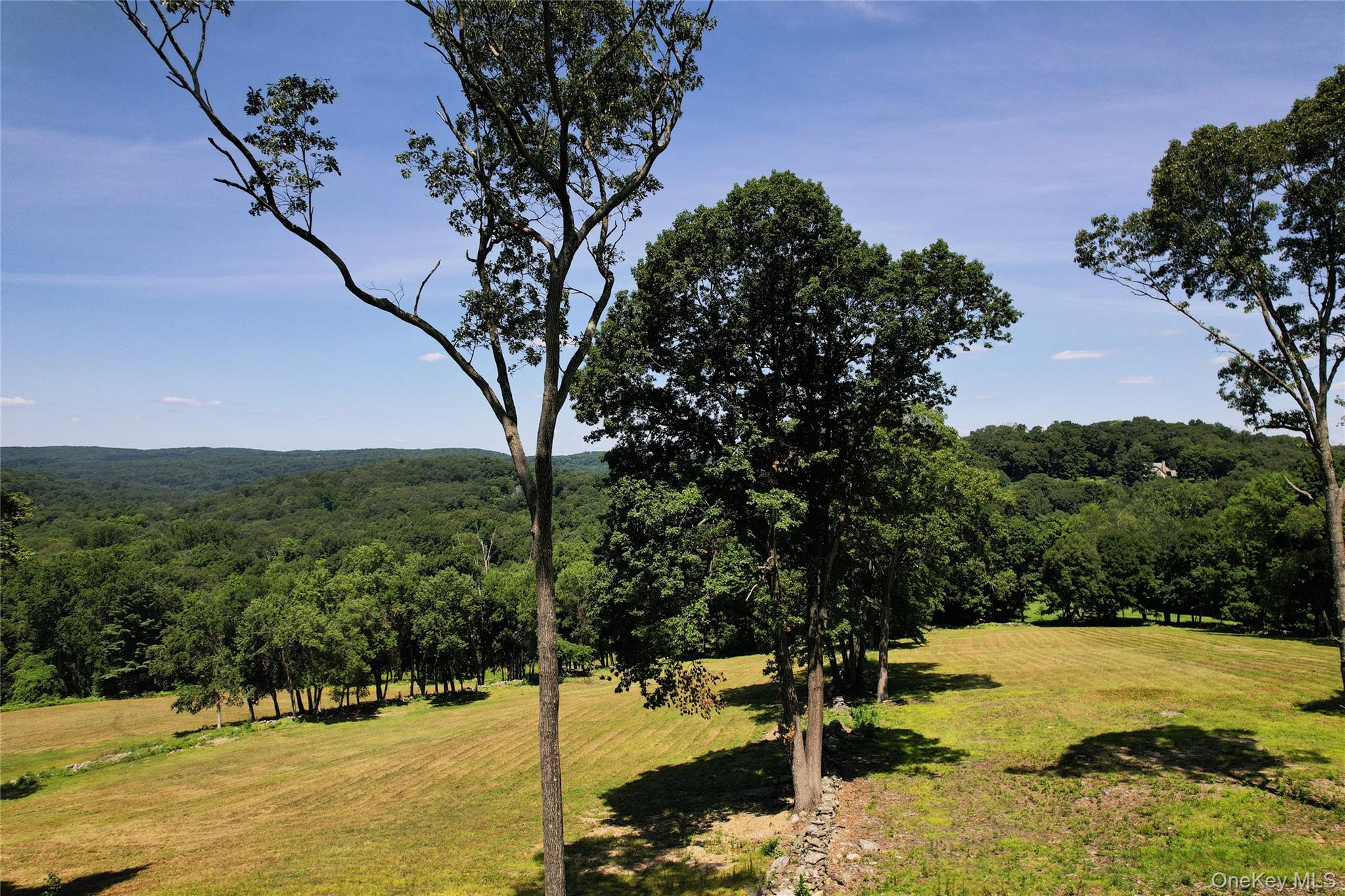 725 Croton Lake Road Property Photo 4