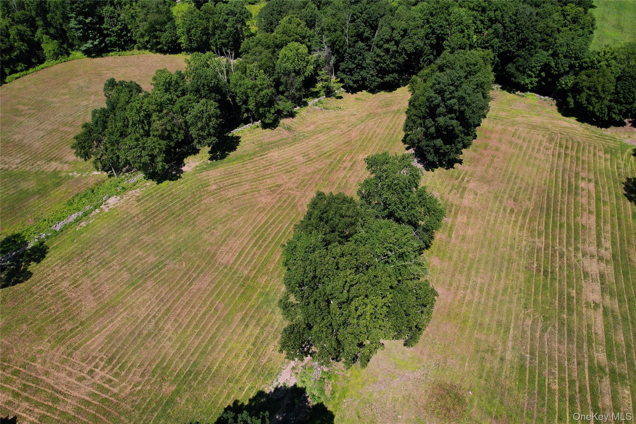 725 Croton Lake Road Property Photo 11