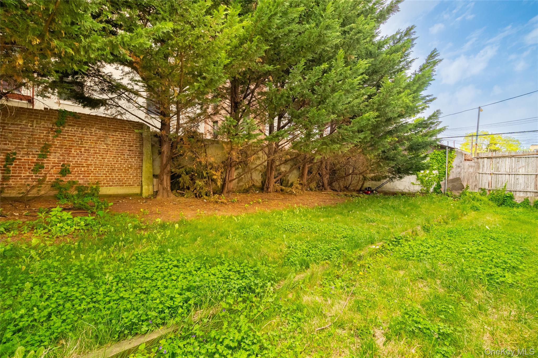 1321 Purdy Street Property Photo 49