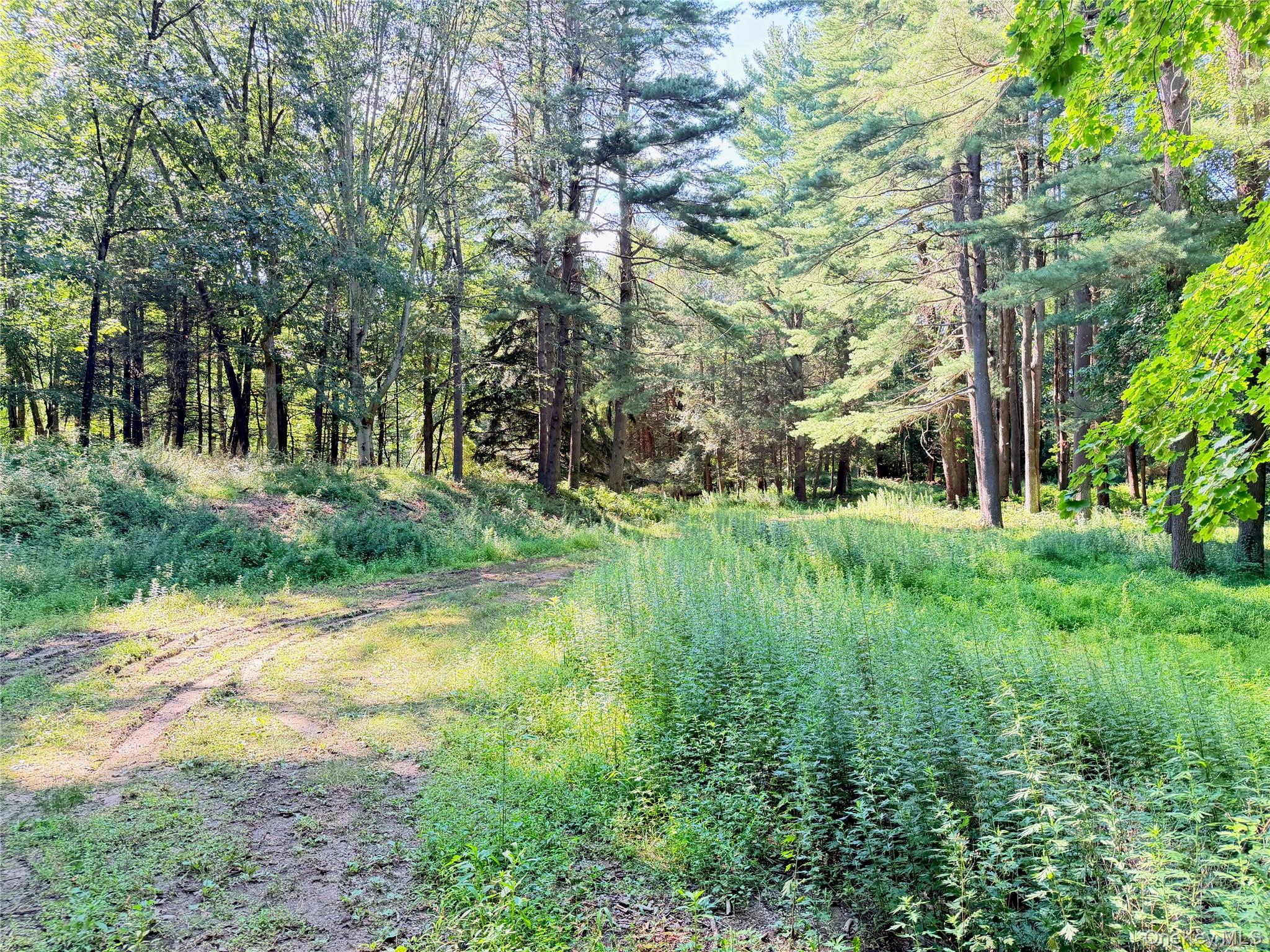 340 Haines Road Property Photo 6
