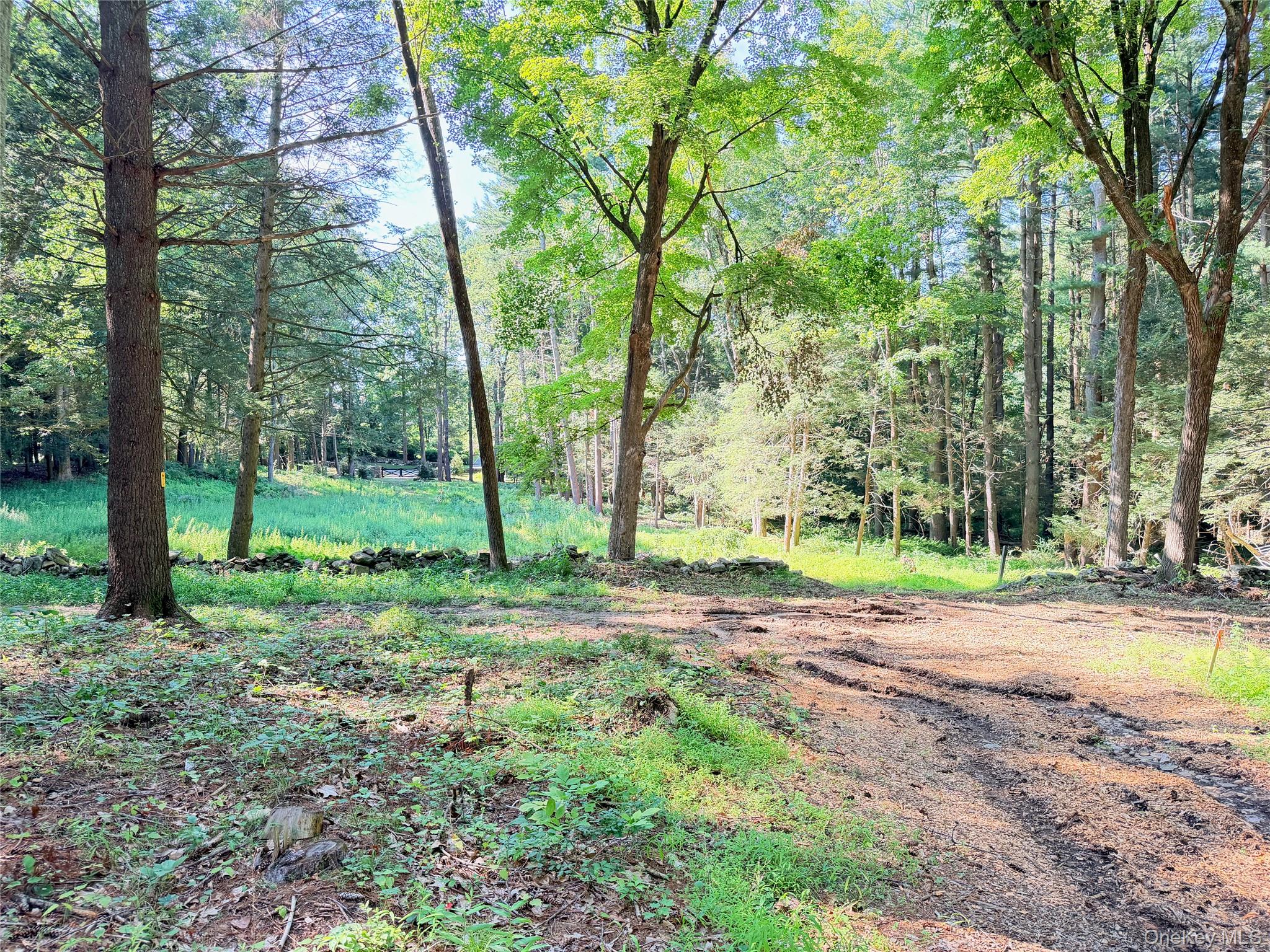 340 Haines Road Property Photo 8