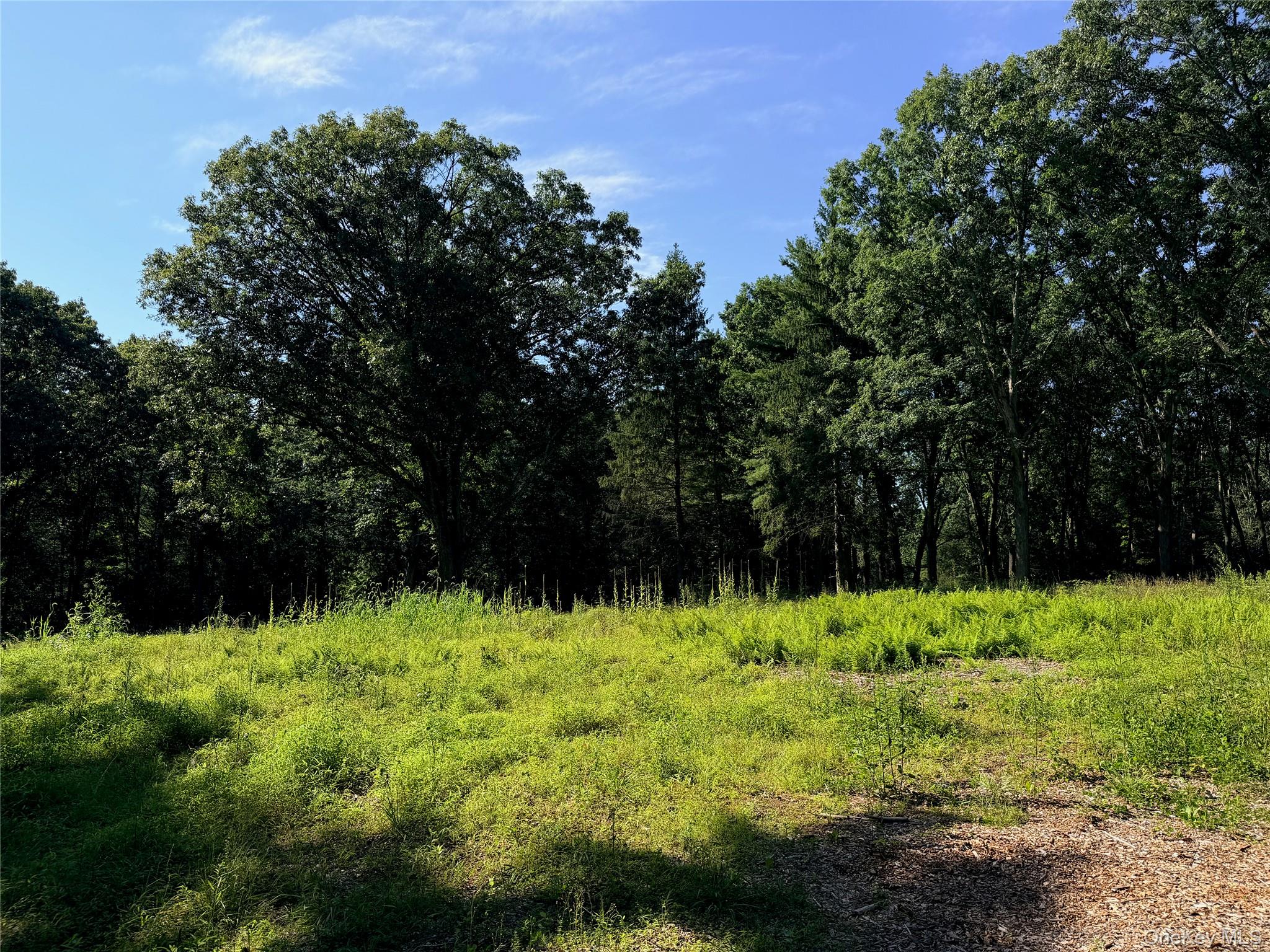340 Haines Road Property Photo 9