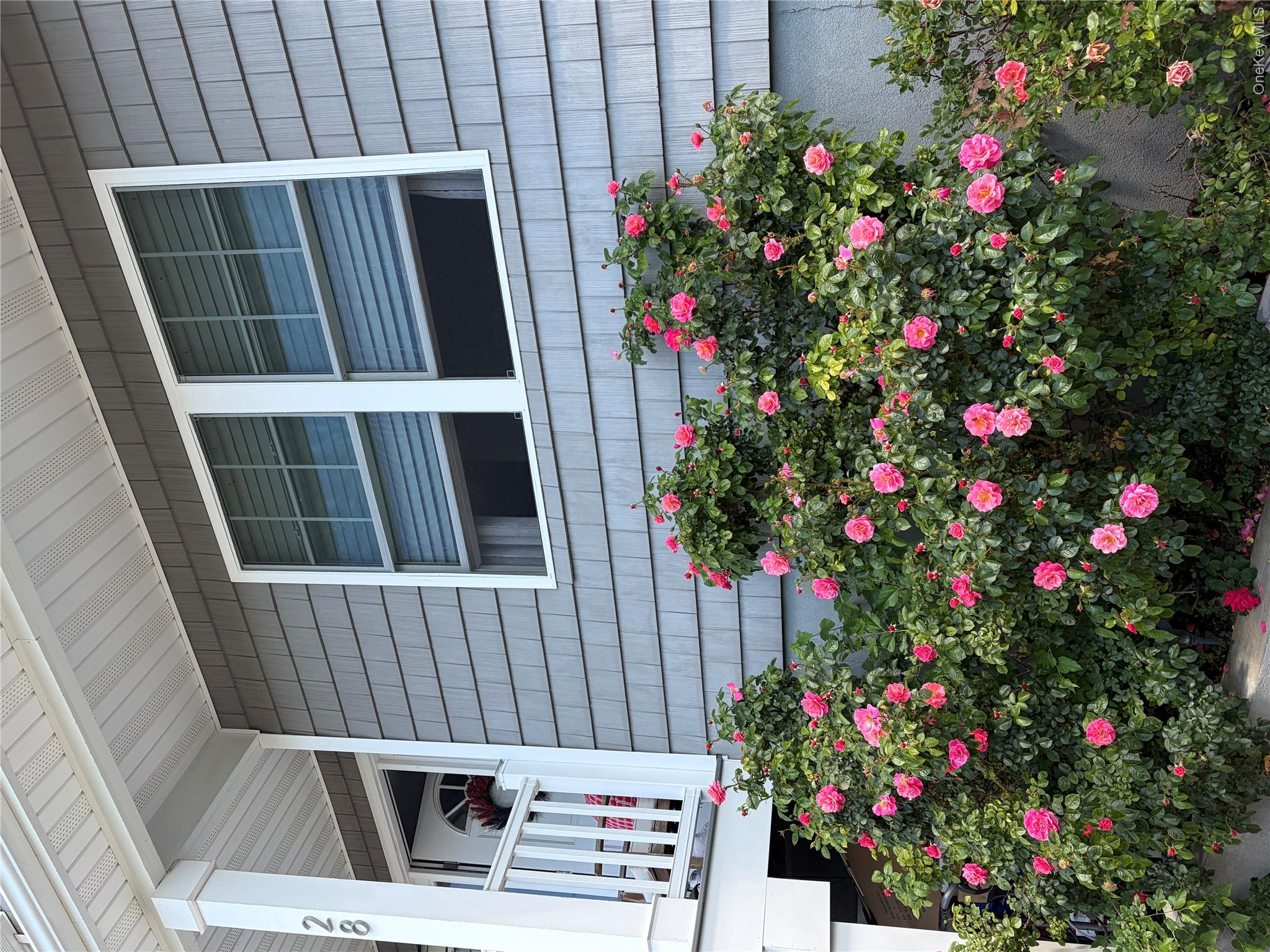 28 Sagamore Road Property Photo 3