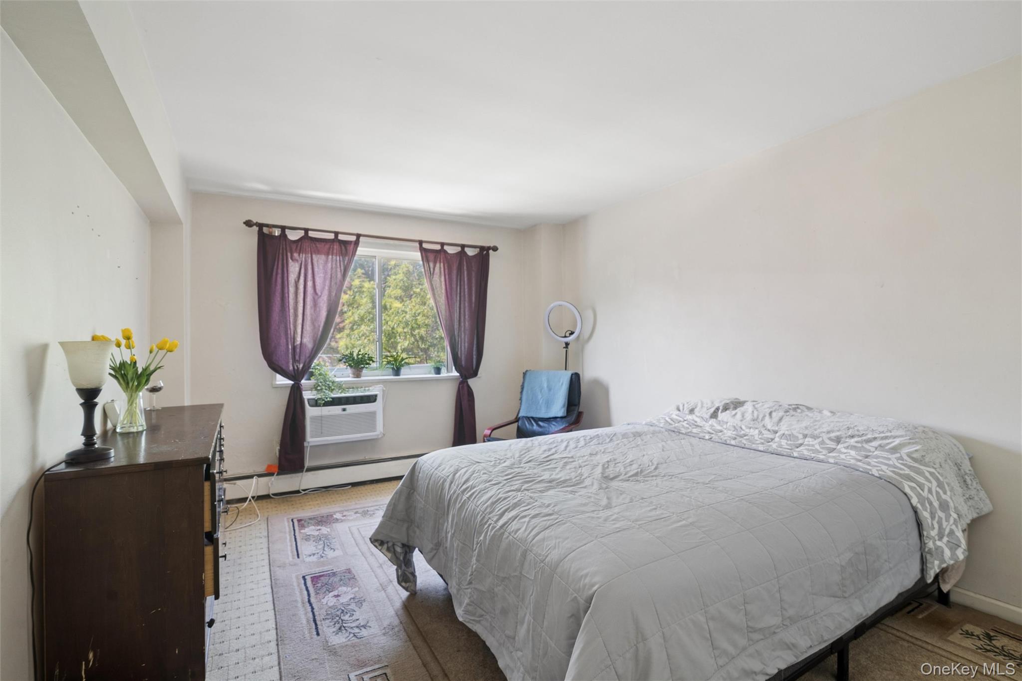 101 Clinton Avenue 3h Property Photo 13