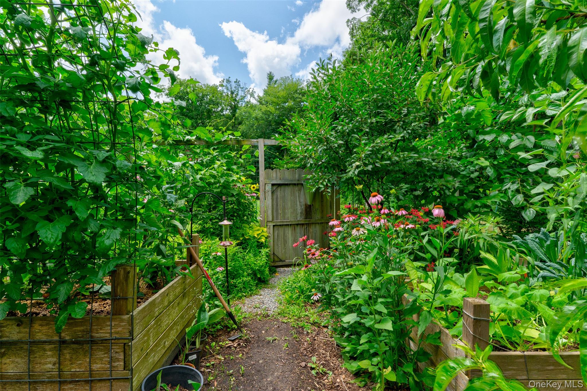 116 Francis Drive Property Photo 37