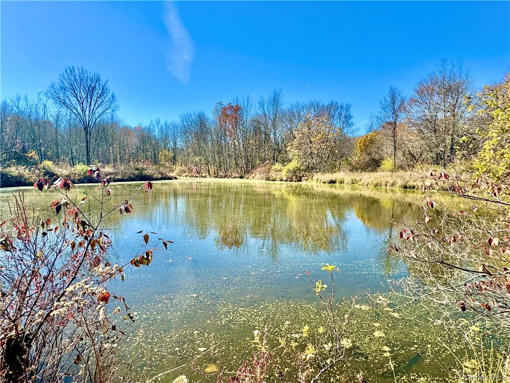 255 Howells Road Property Photo 7
