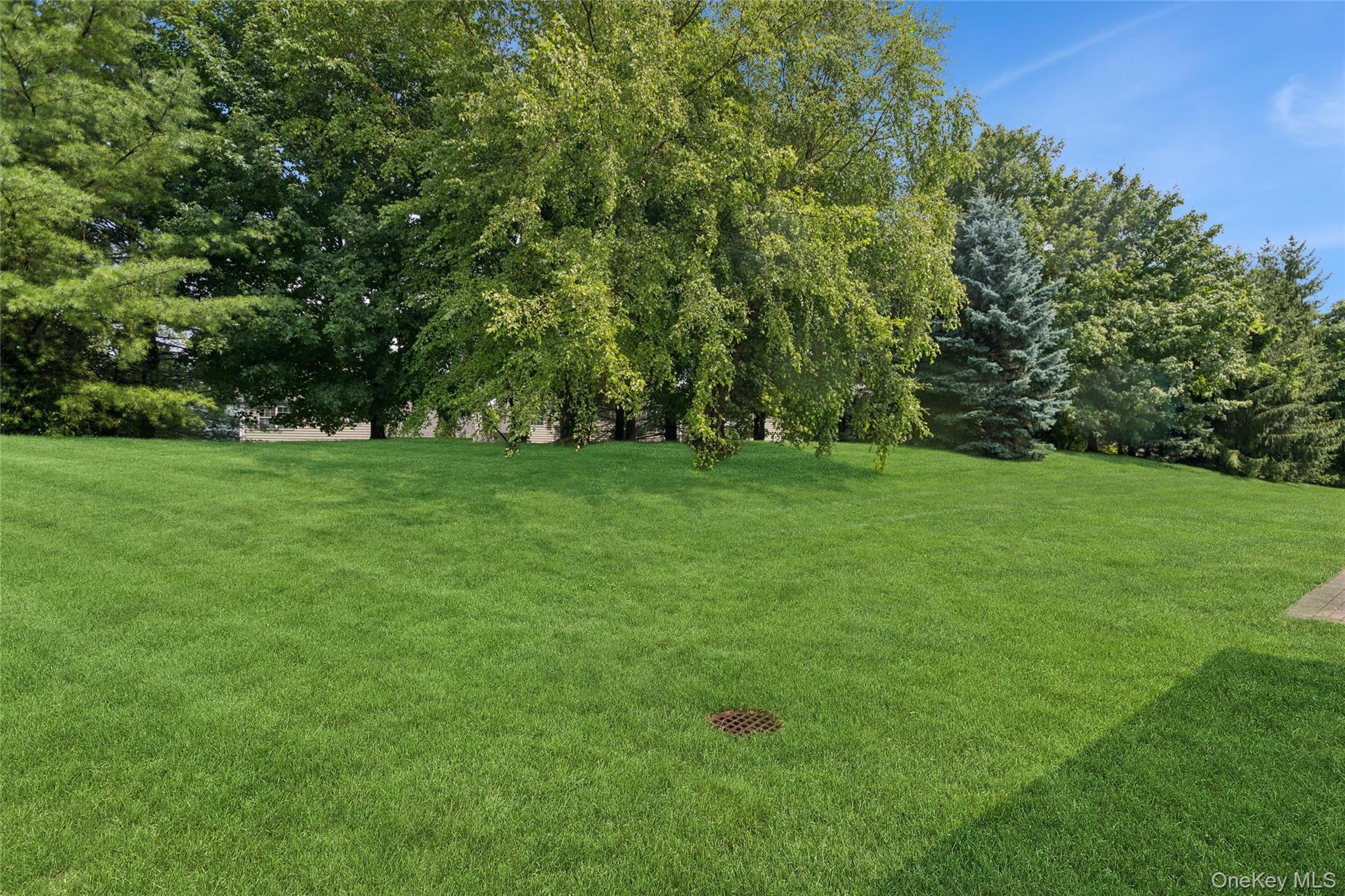 415 Vassar Place Property Photo 4