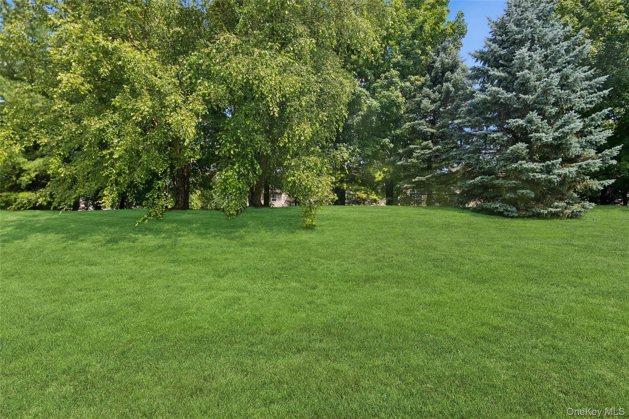 415 Vassar Place Property Photo 6