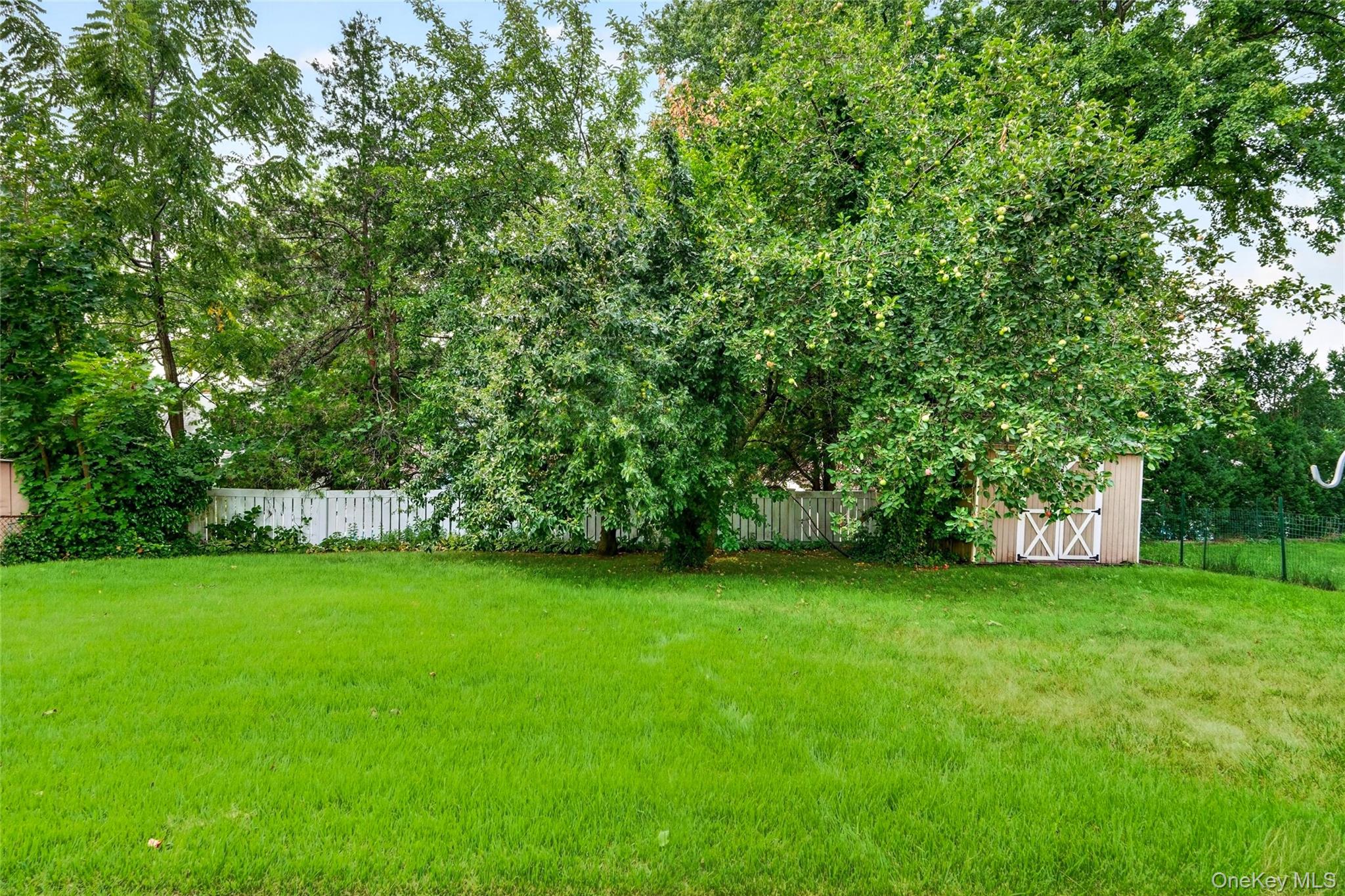 83 Newkirk Road Property Photo 30