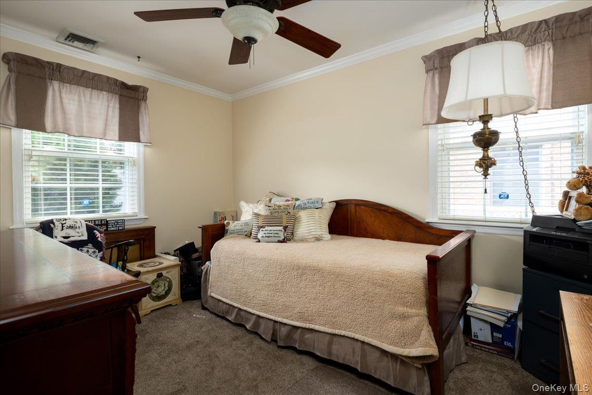 131 Euston Road Property Photo 4