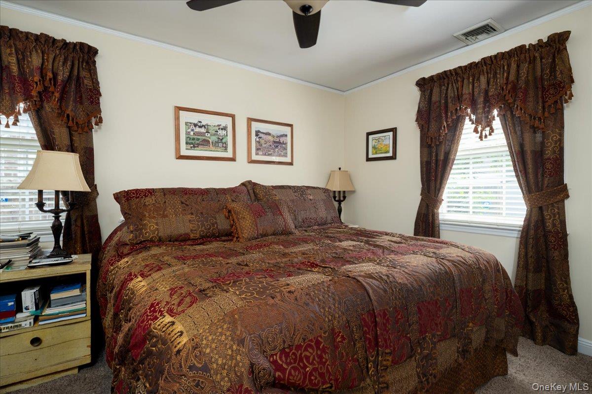 131 Euston Road Property Photo 5