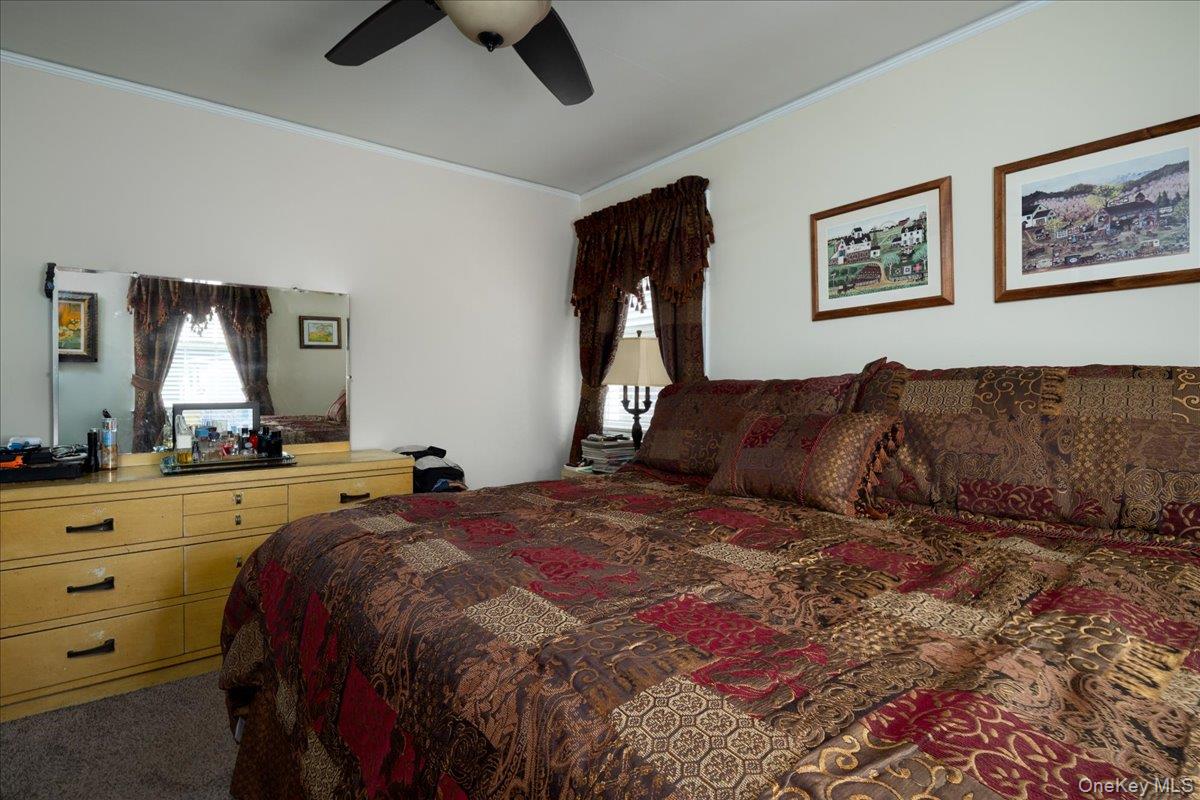 131 Euston Road Property Photo 6