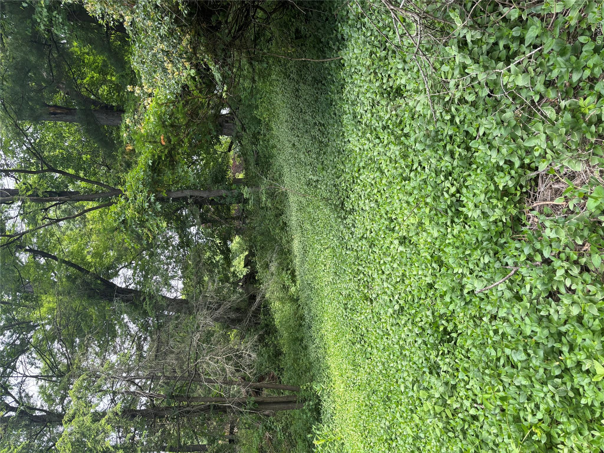 1026280 Property Photo 8