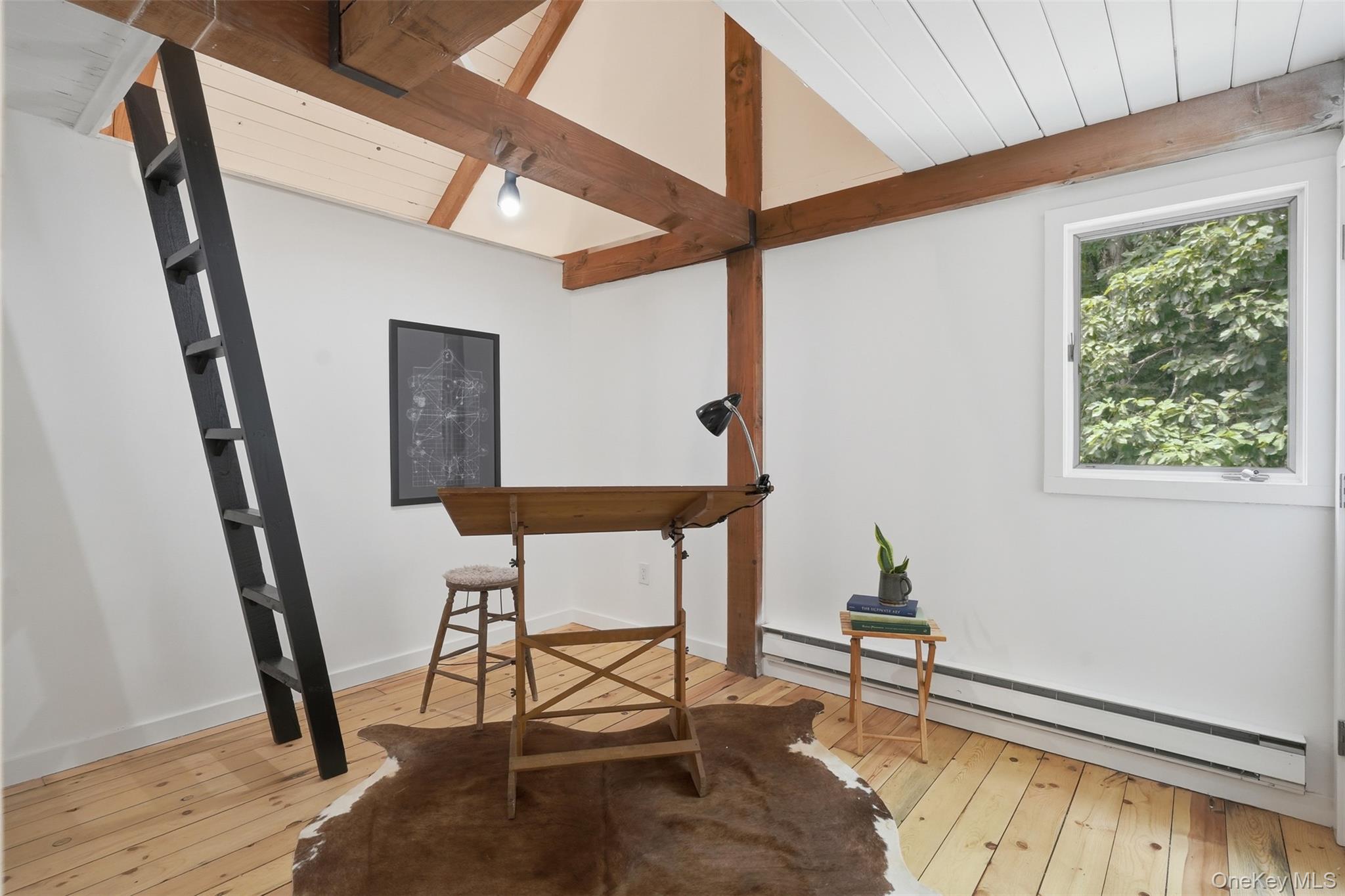 11 Spies Road Property Photo 21
